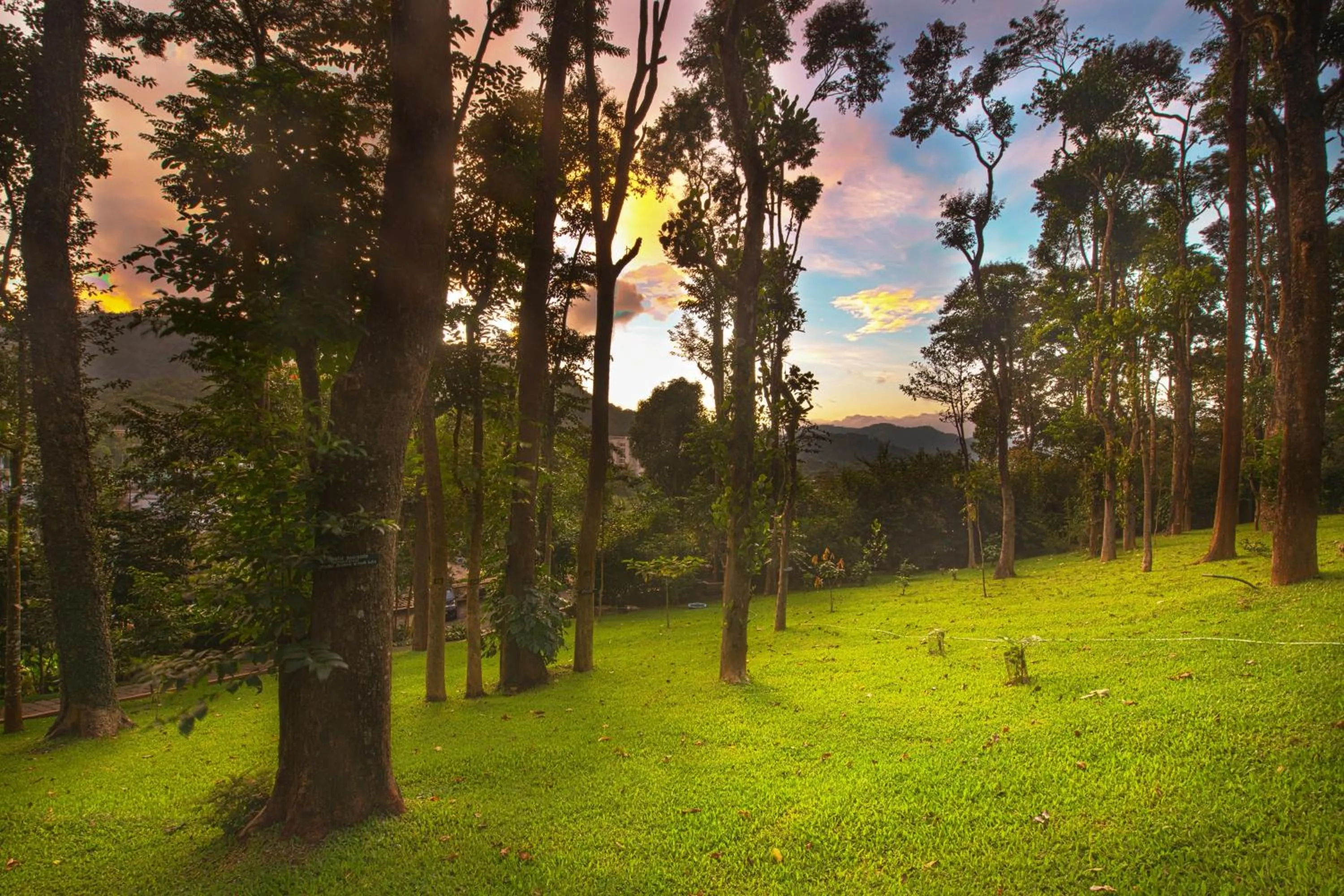 Garden in Greenwoods Resort, Thekkady