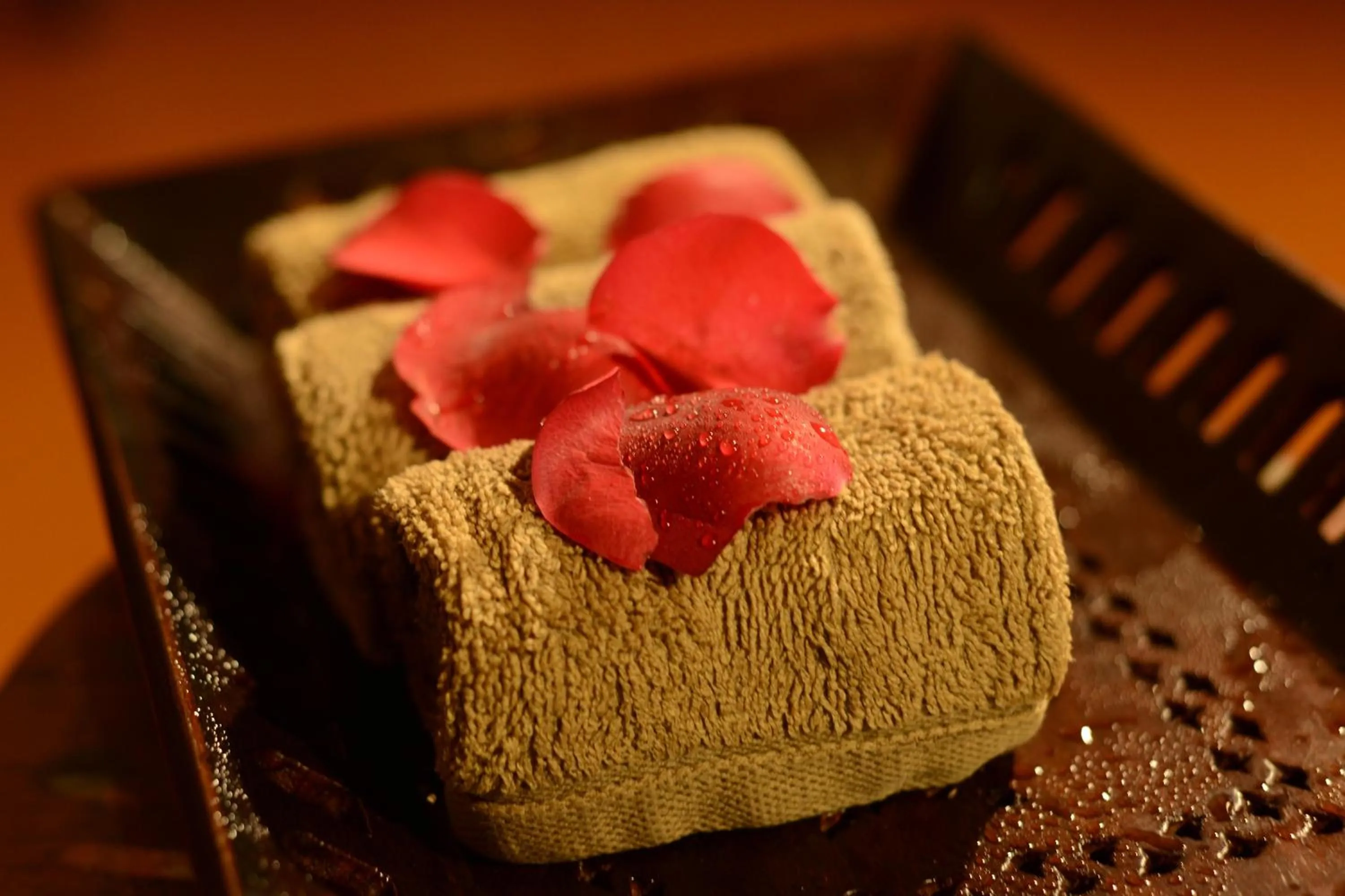 Steam room in Greenwoods Resort, Thekkady