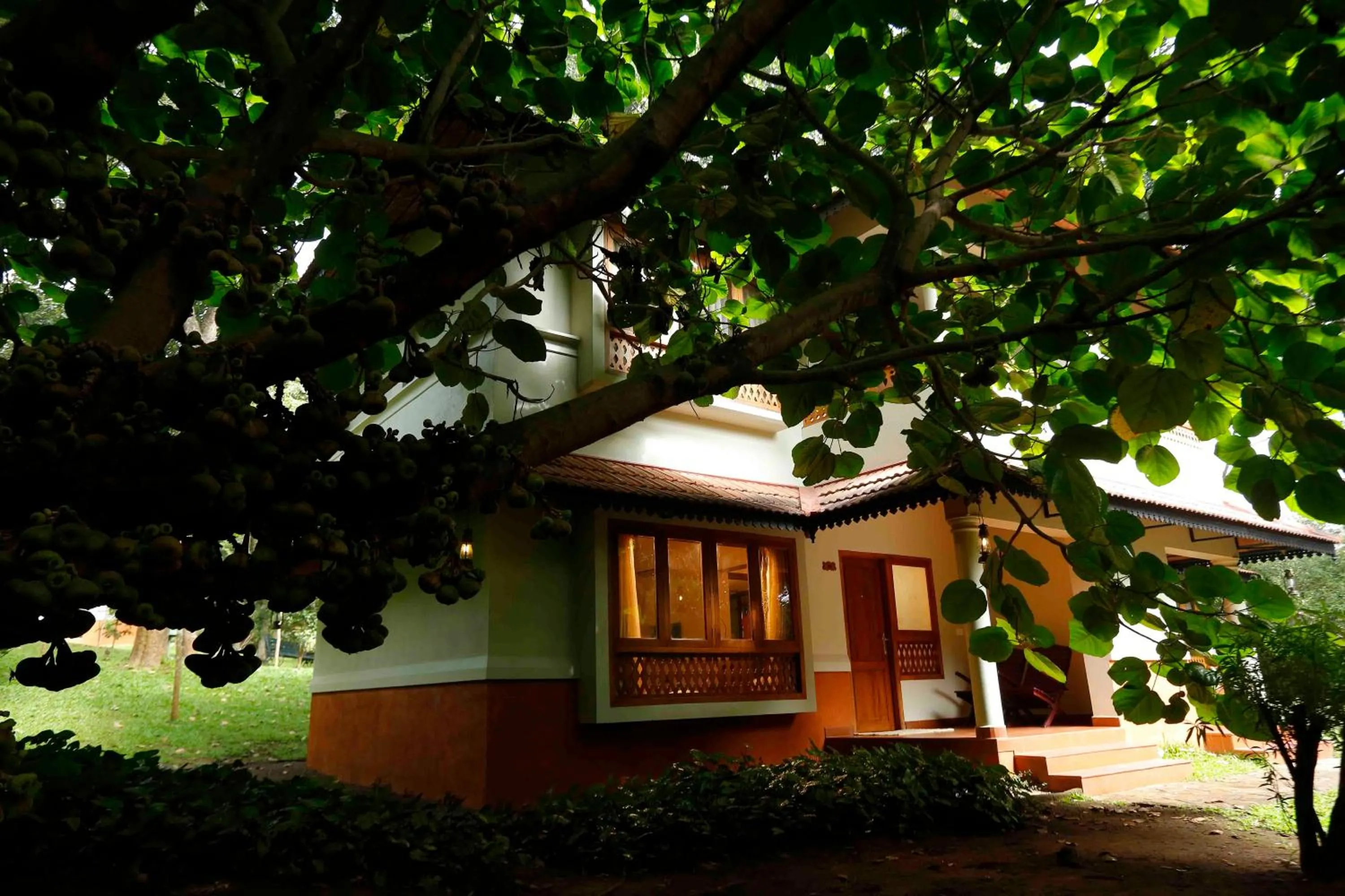 Other in Greenwoods Resort, Thekkady