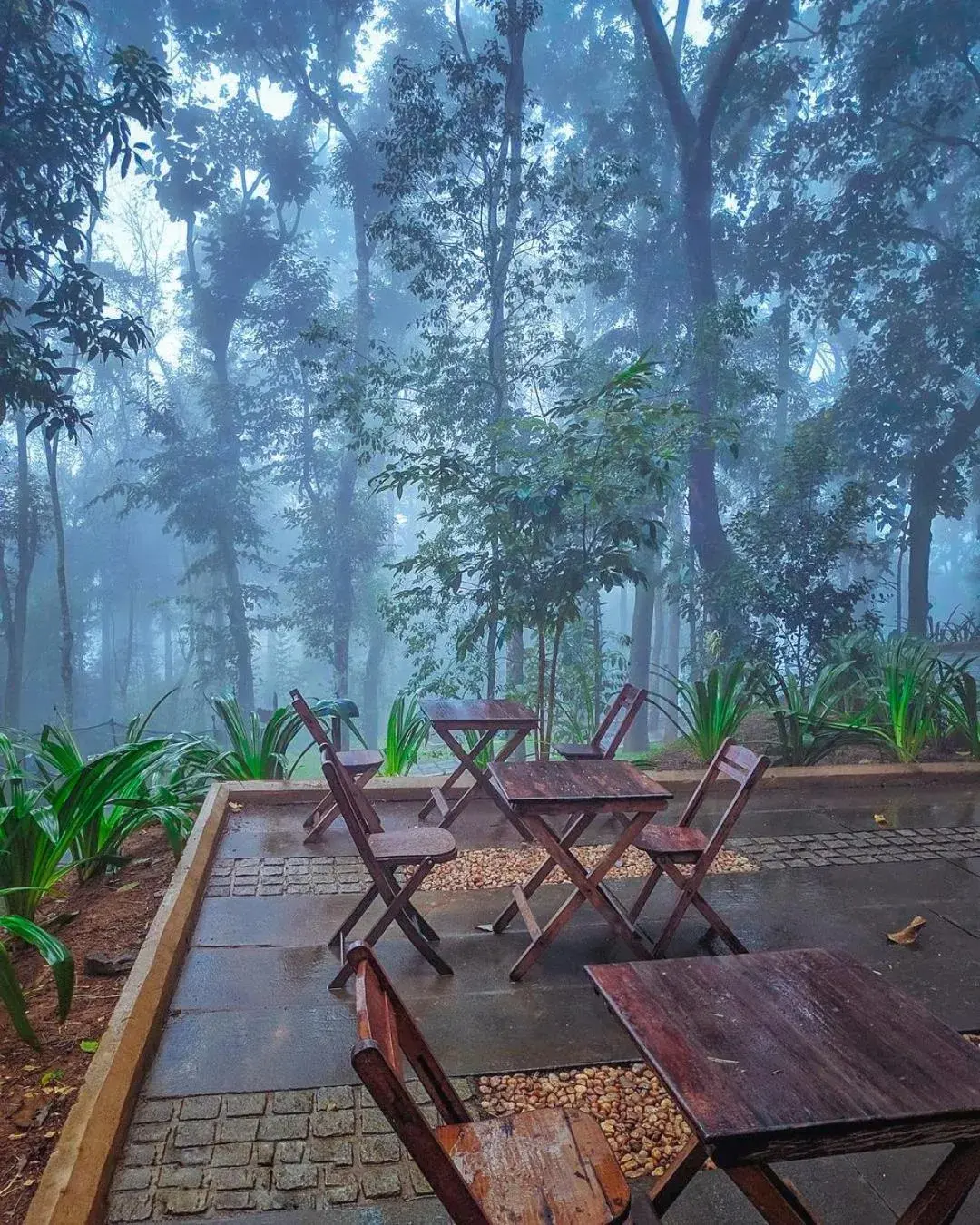 View (from property/room) in Greenwoods Resort, Thekkady View (from property/room) in Greenwoods Resort, Thekkady