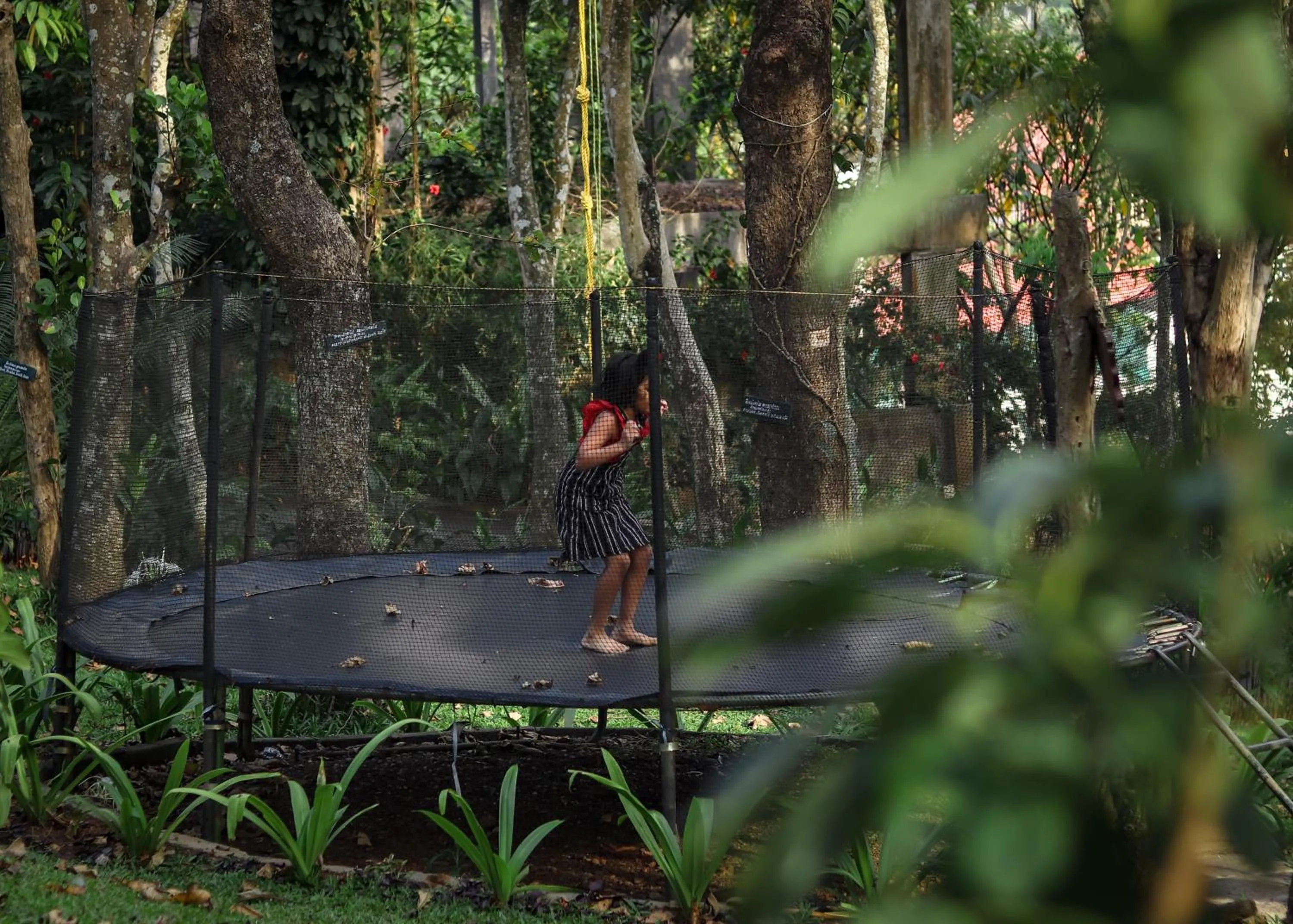 Activities in Greenwoods Resort, Thekkady