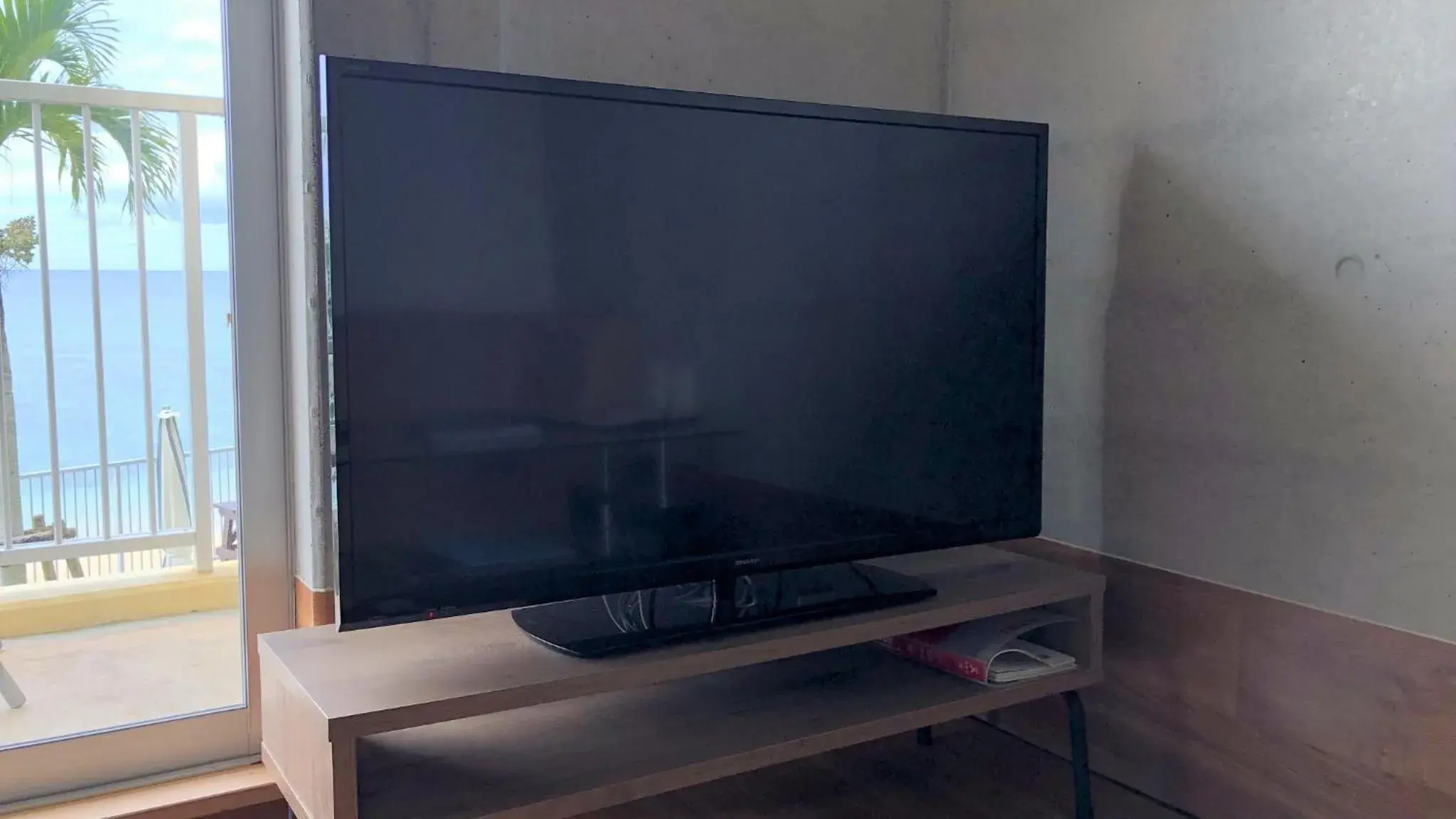 TV and multimedia in Churaumi on the Beach Motobu TV and multimedia in Churaumi on the Beach Motobu