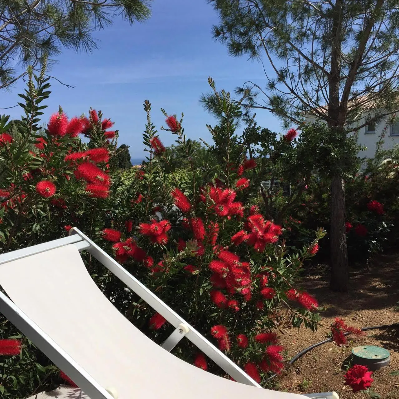 Patio in Résidence Le Clos Saint Paul