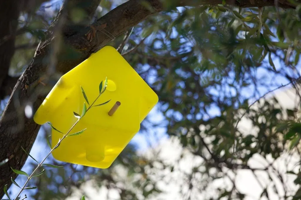 Garden in Résidence Le Clos Saint Paul