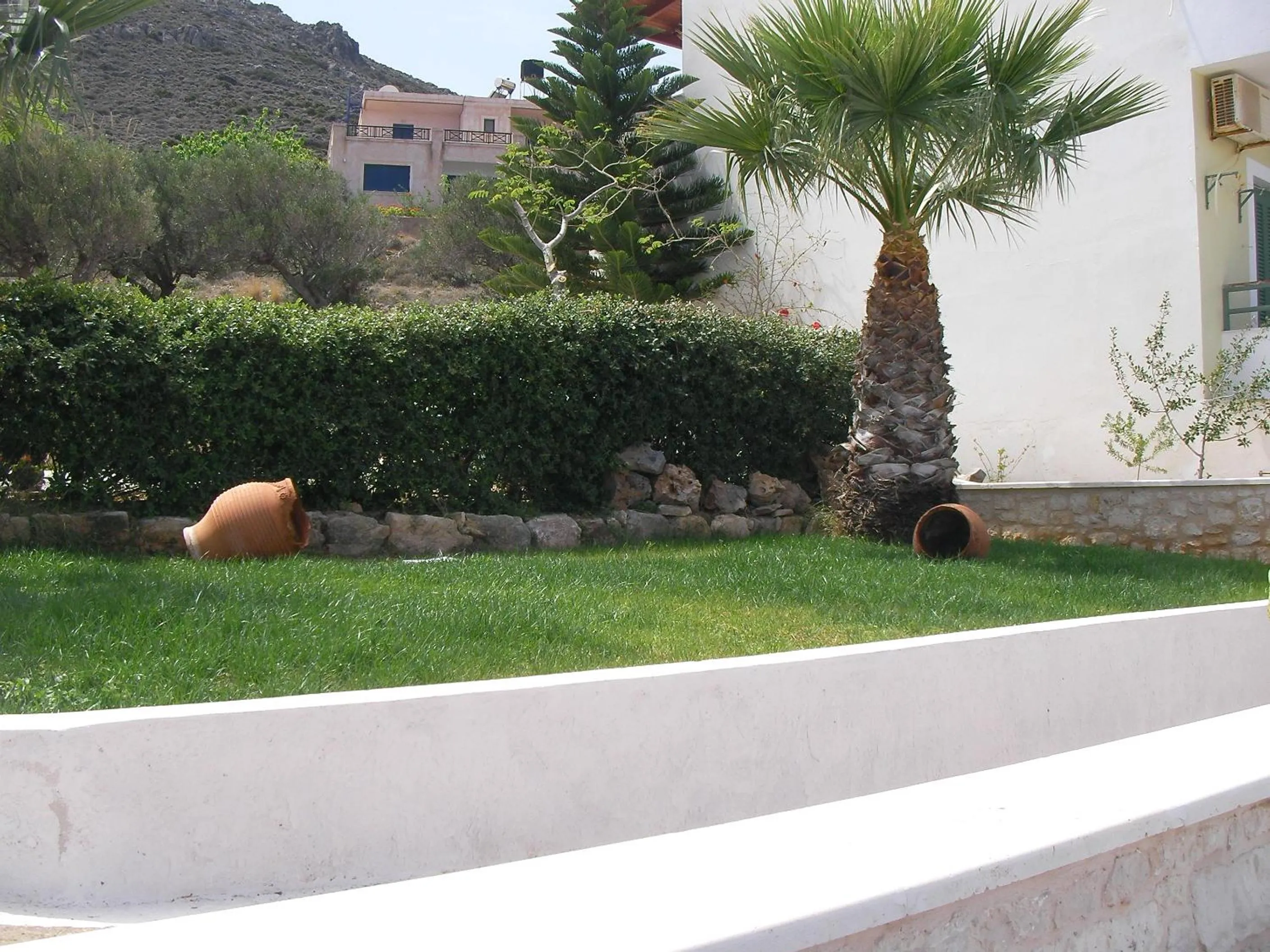 Garden in Elia Studios