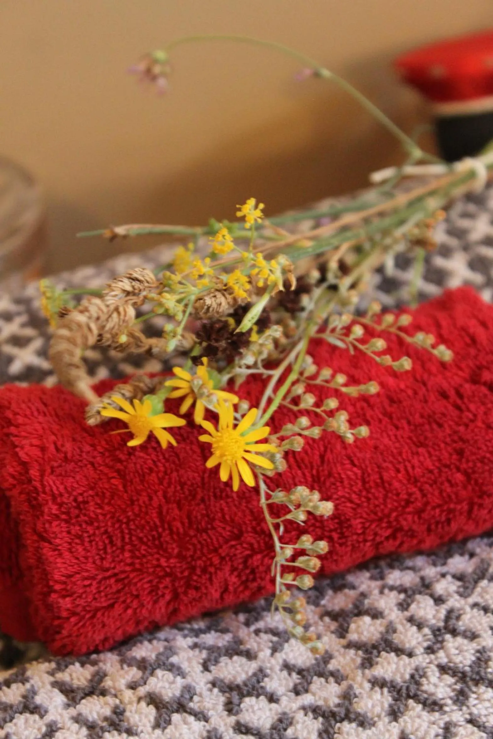 Domaine de Manteau-Bleu