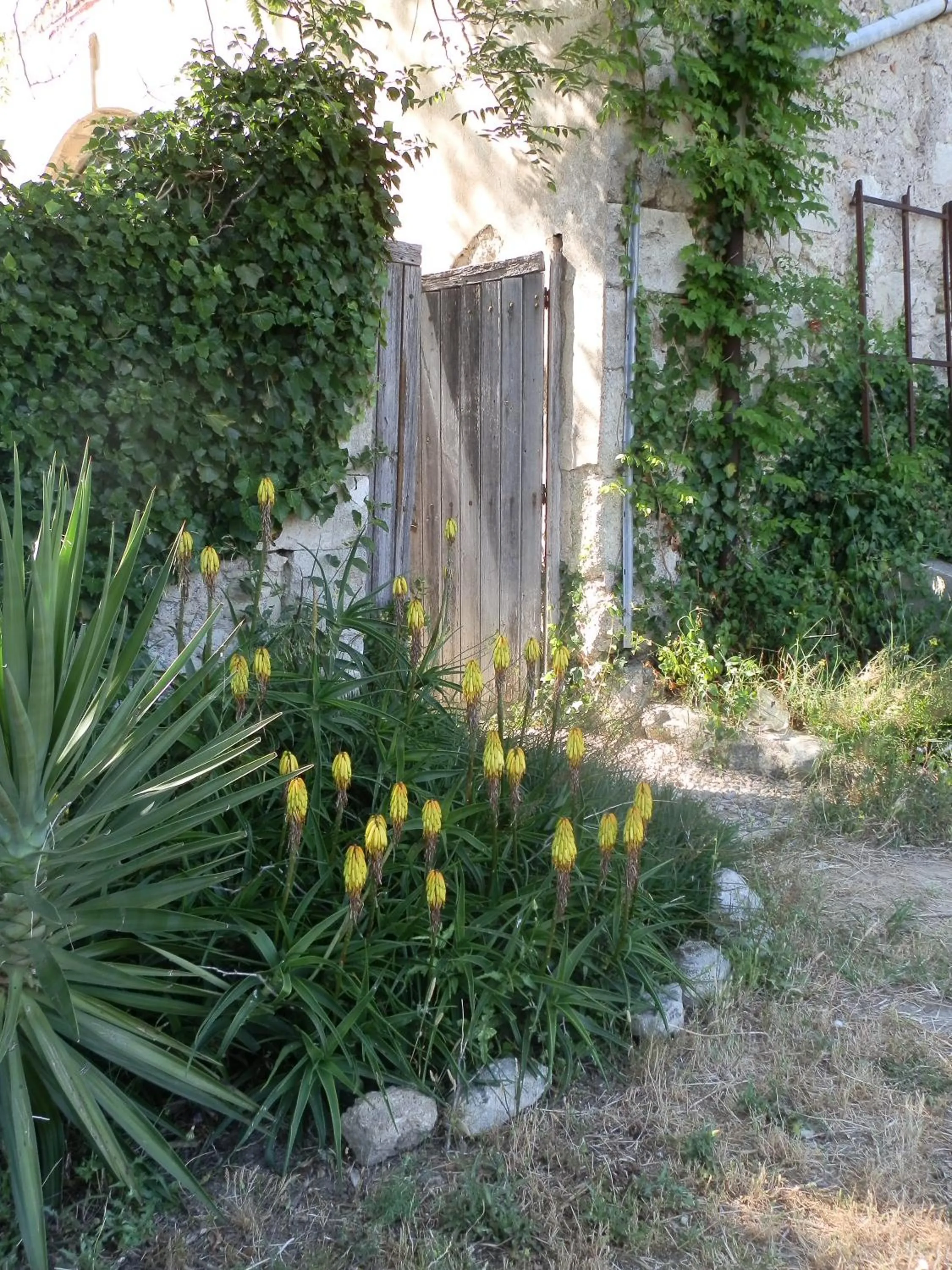 Garden in Domaine de Manteau-Bleu