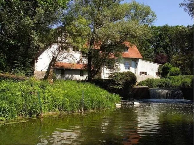 Day in Chambre d'hôtes du Moulin de Landonvillers