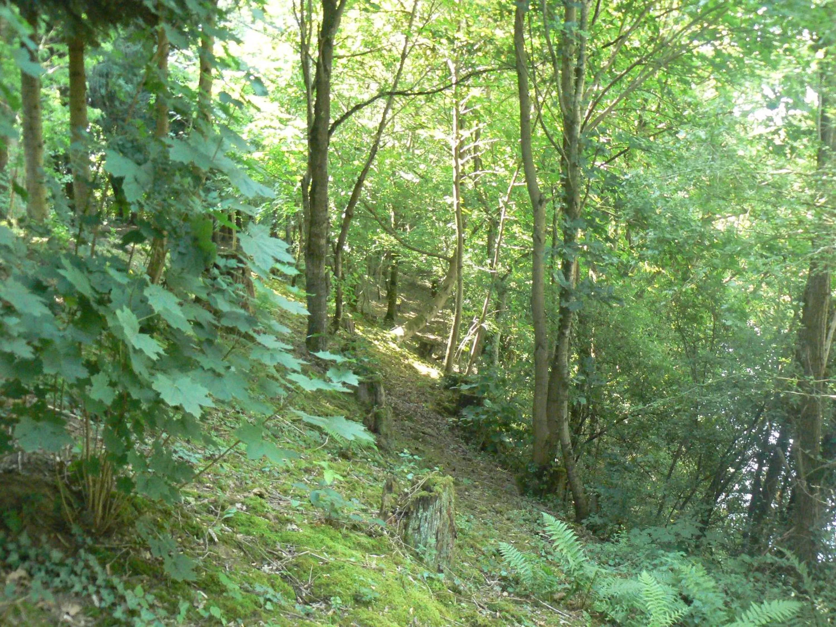 Day in Chambre d'hôtes du Moulin de Landonvillers