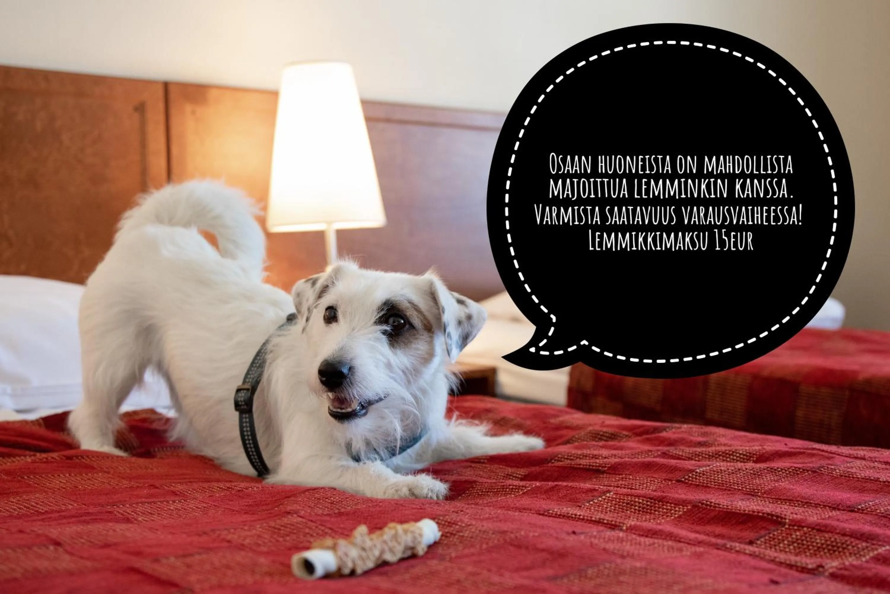Pets, Bed in Hotel Kokkola