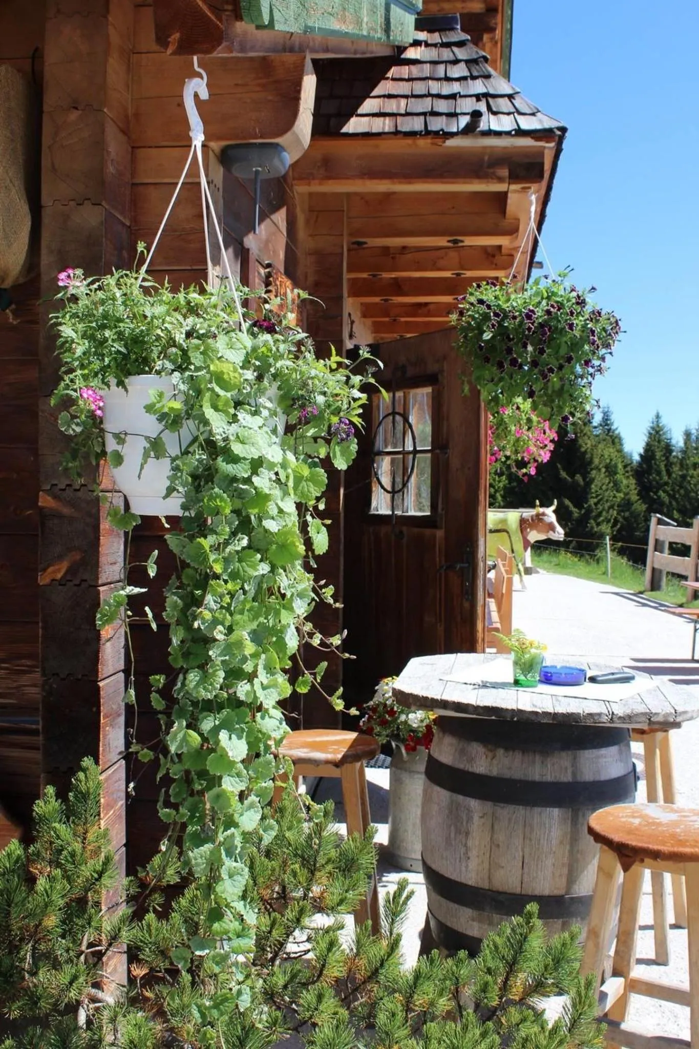 Balcony/Terrace in Simal Alm