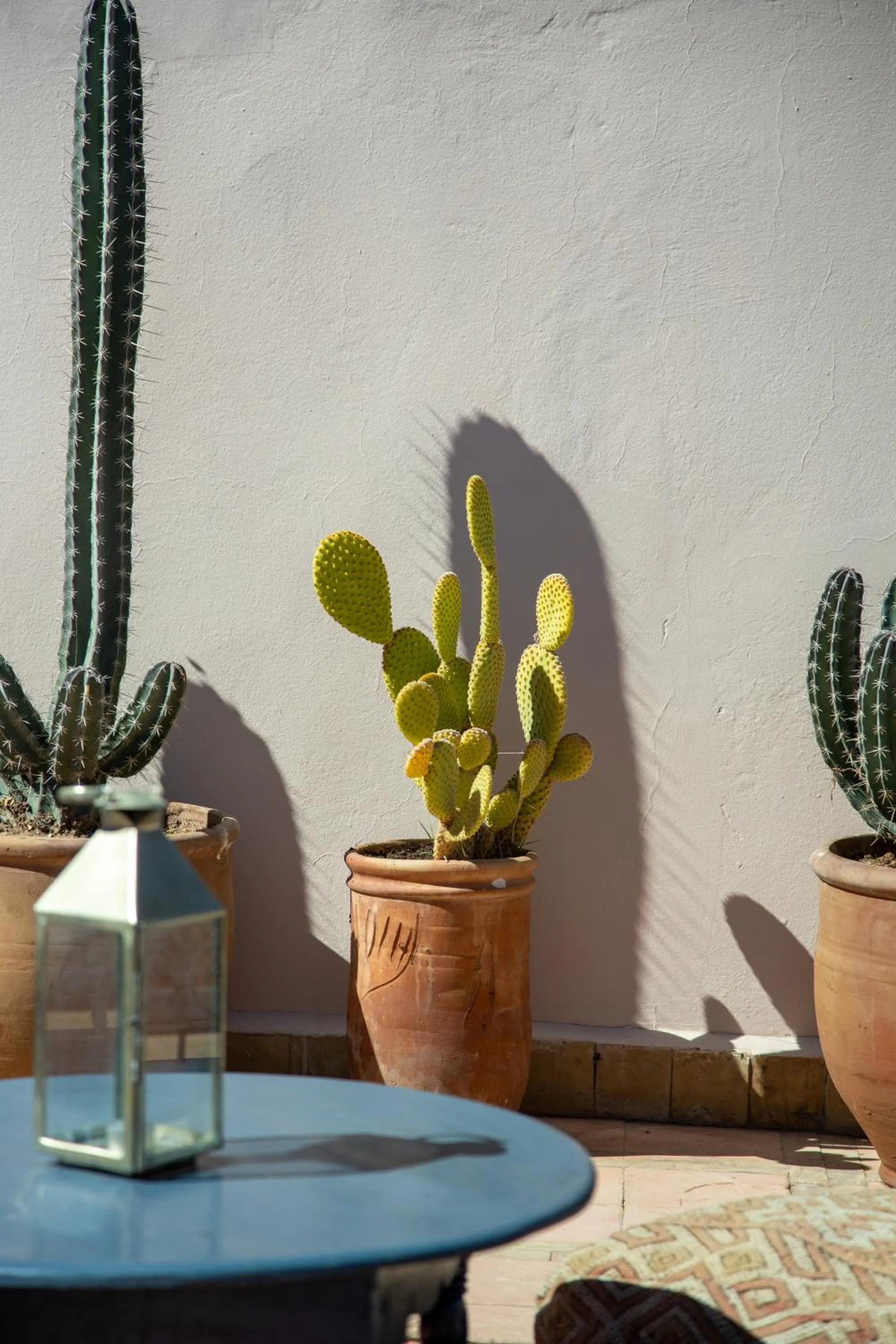 Garden view in Riad Jonan & Spa