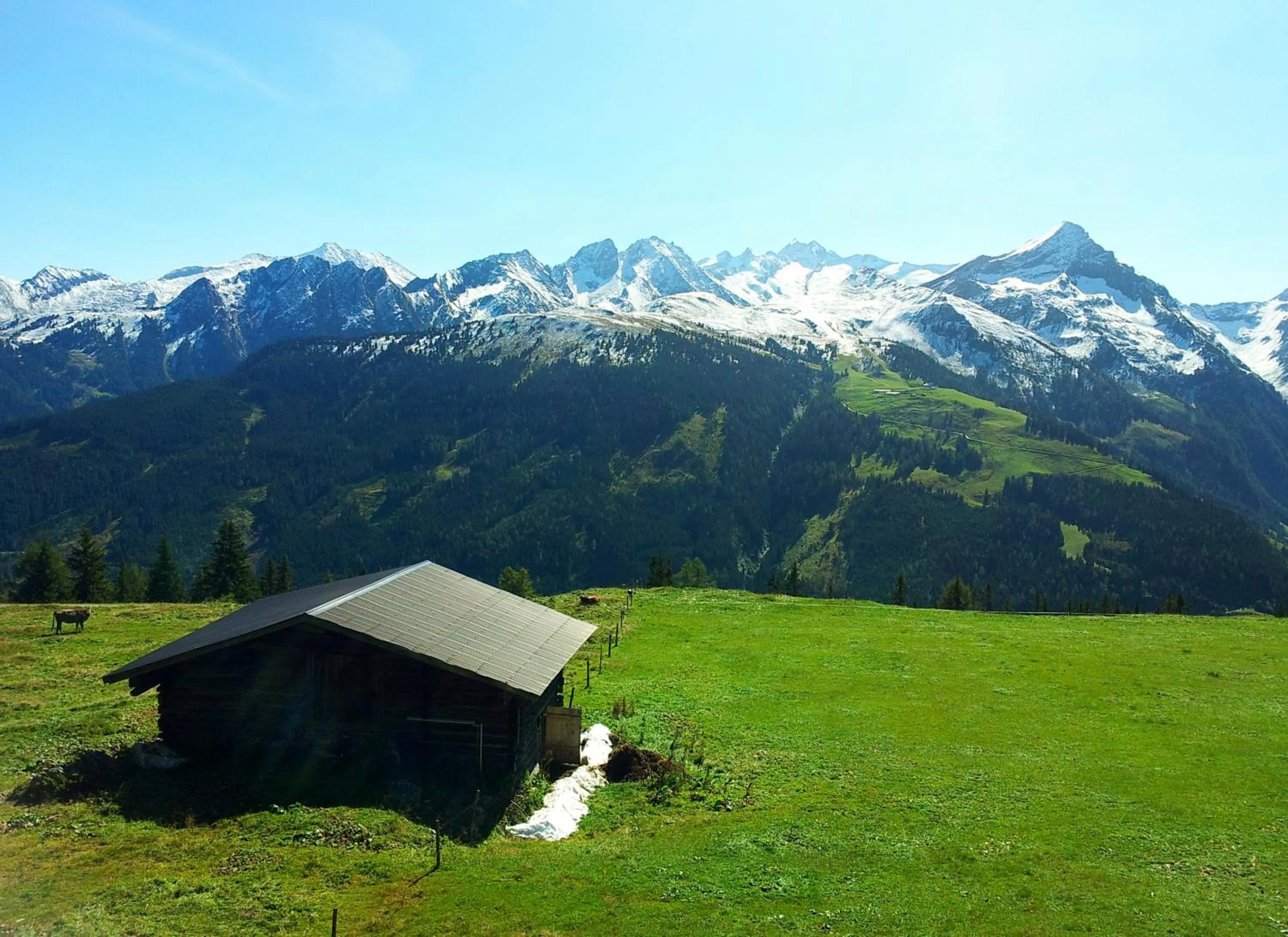 Natural landscape in alpenrose hotel-garni