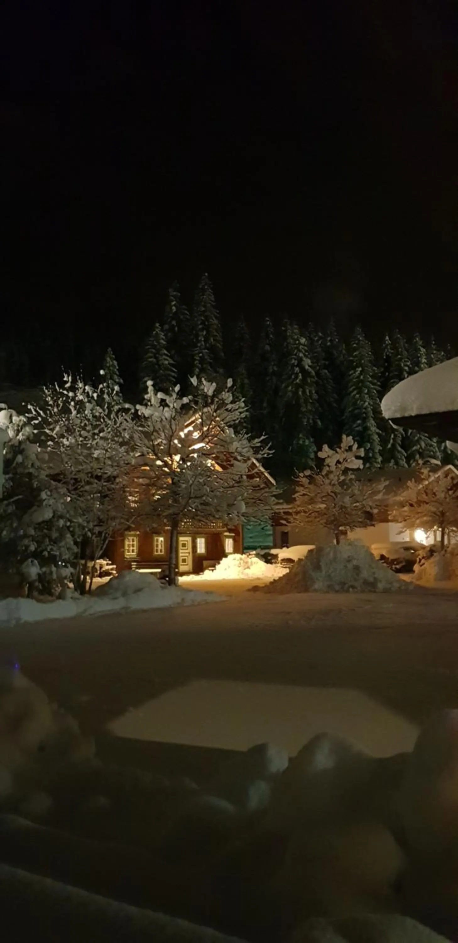 alpenrose hotel-garni