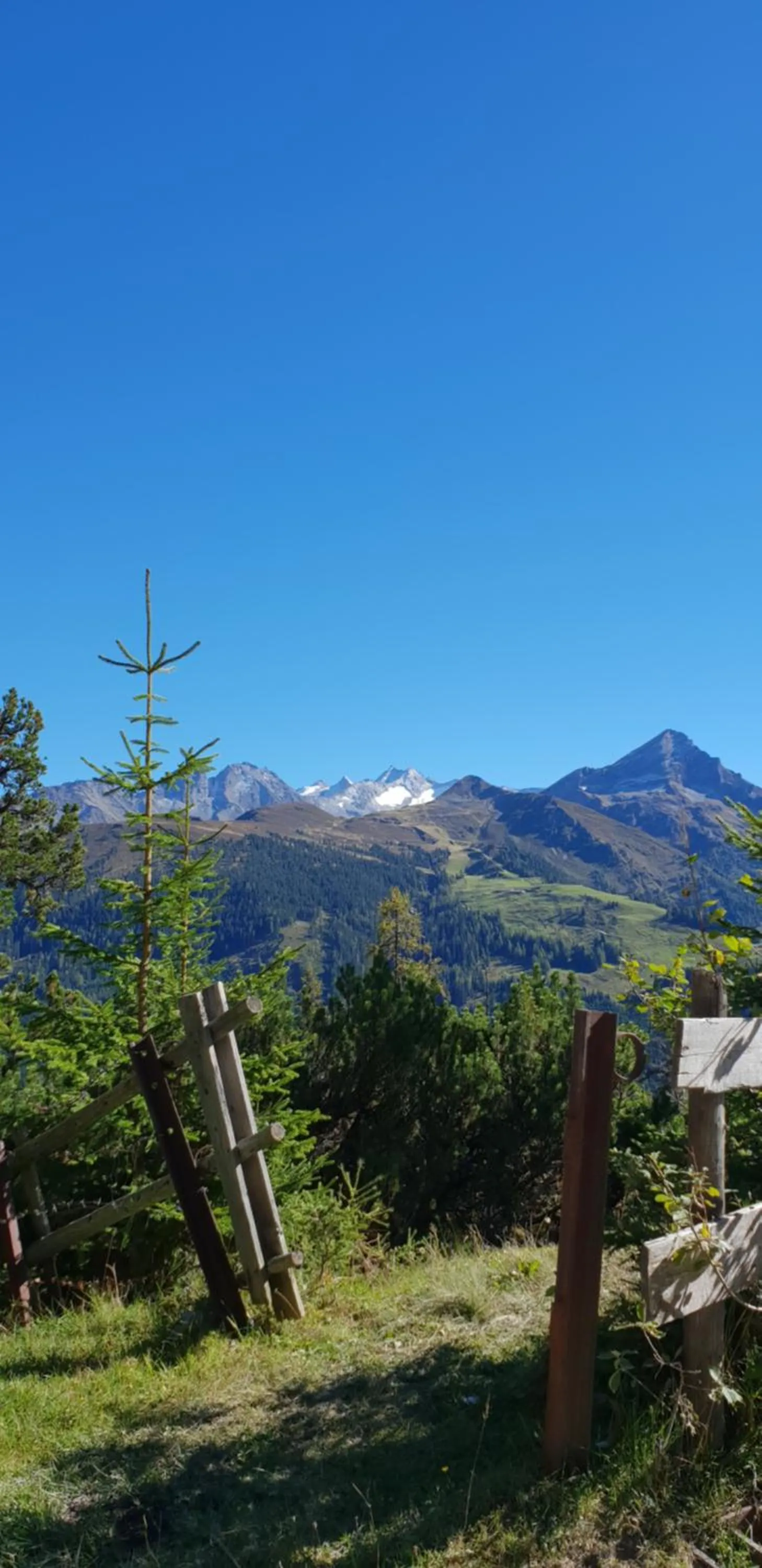 Natural landscape in alpenrose hotel-garni