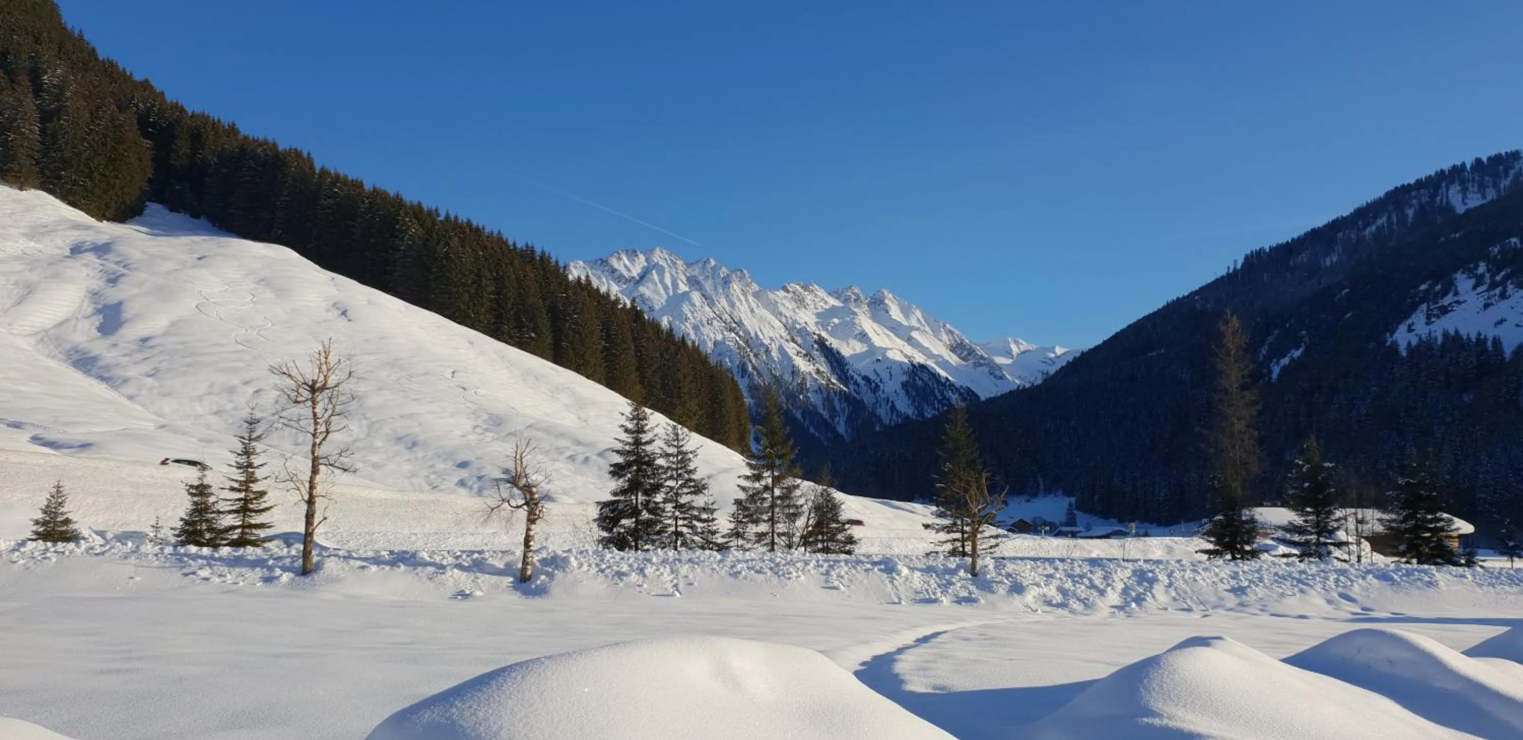 Natural landscape in alpenrose hotel-garni