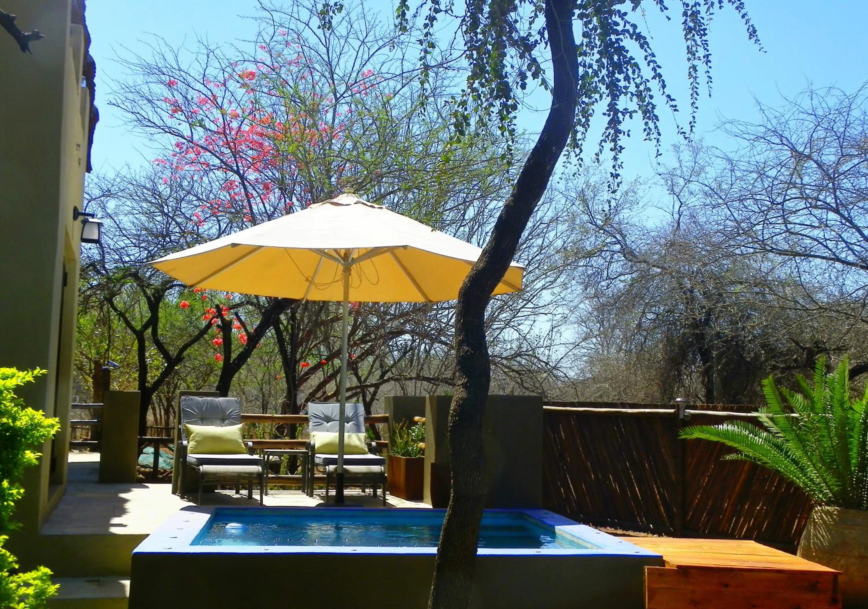 Marloth Park Hippo House