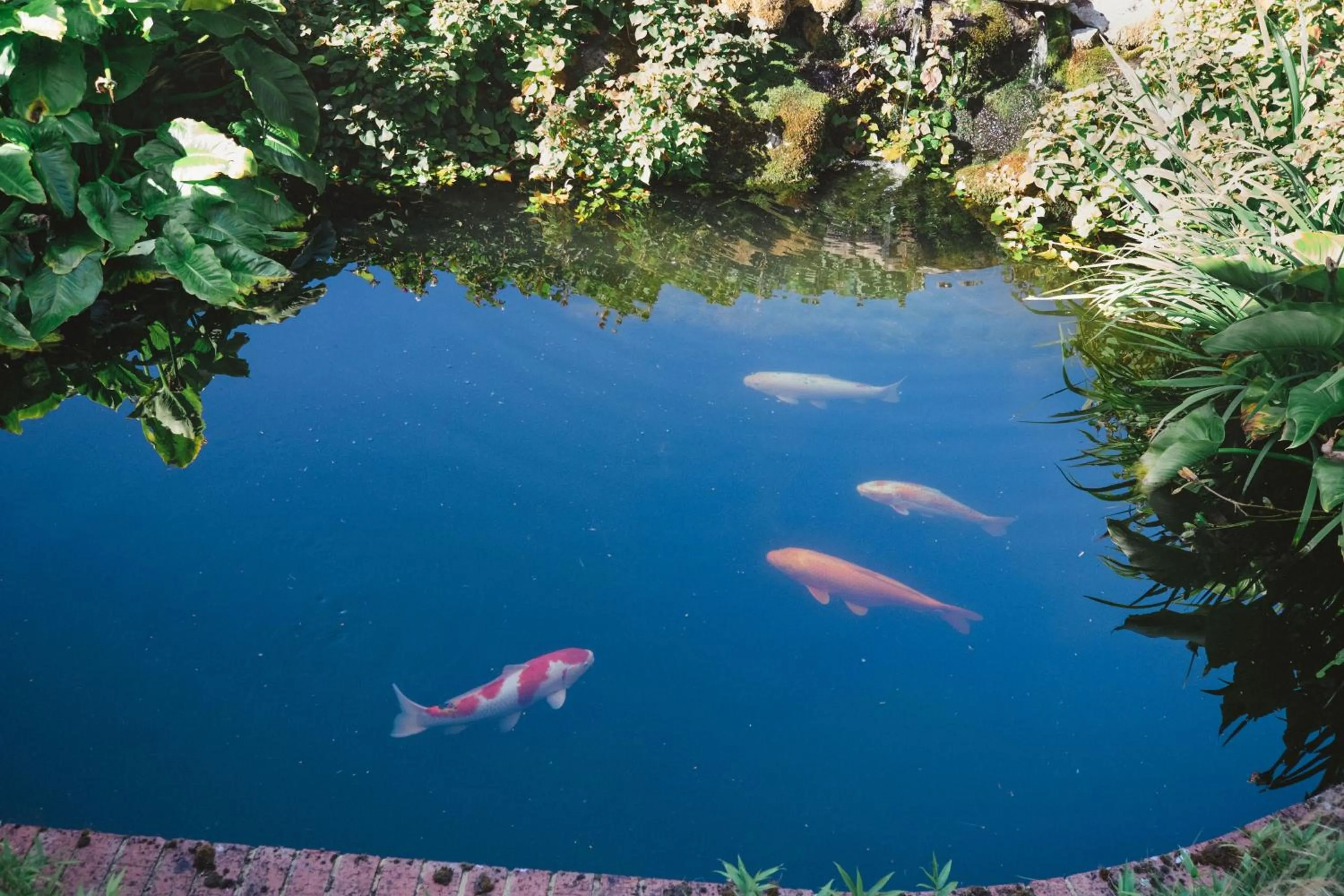 Area and facilities in CIM Business Centre