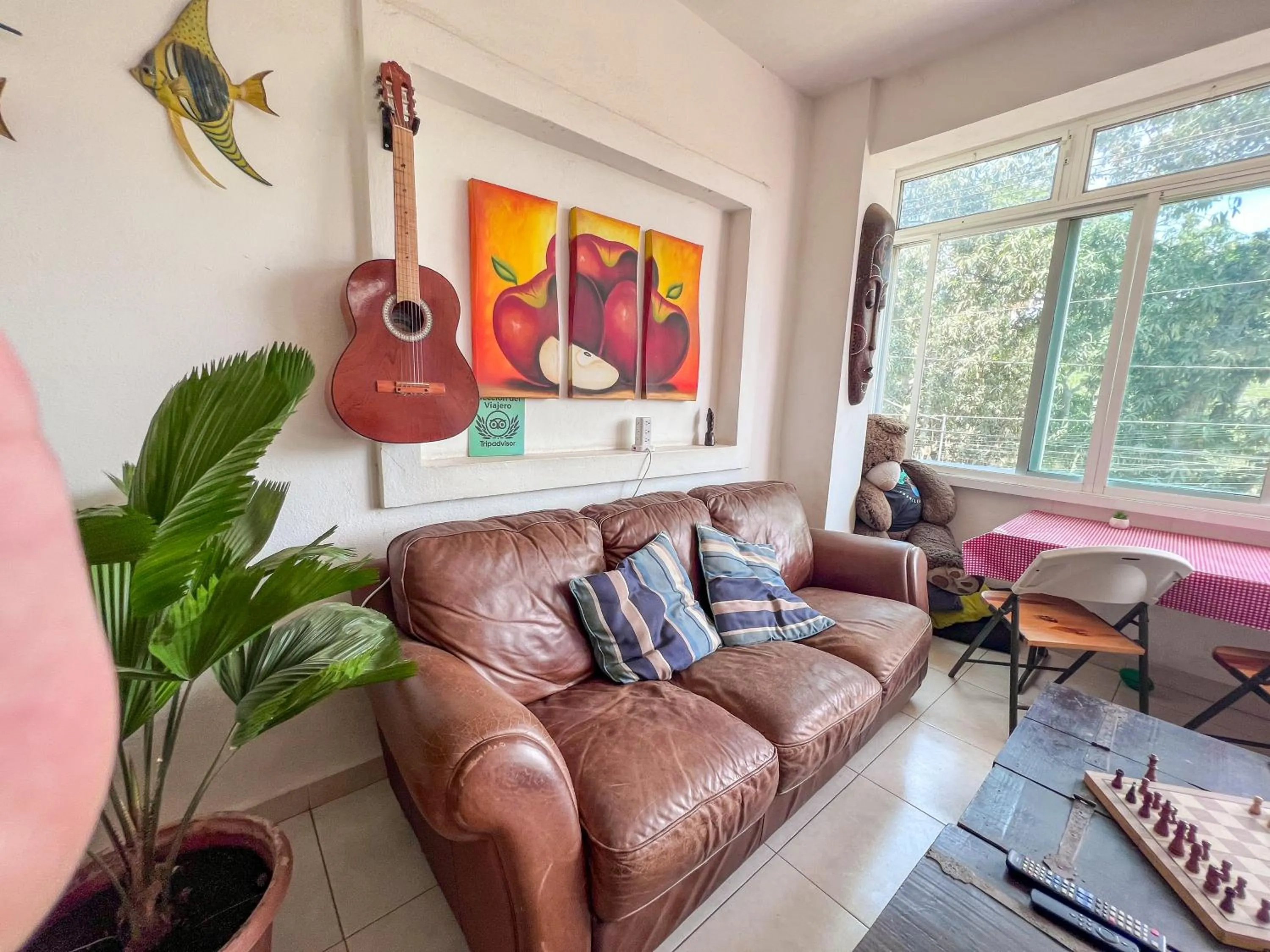 Communal lounge/ TV room in ITH Sayulita Amazing Surf Hostel