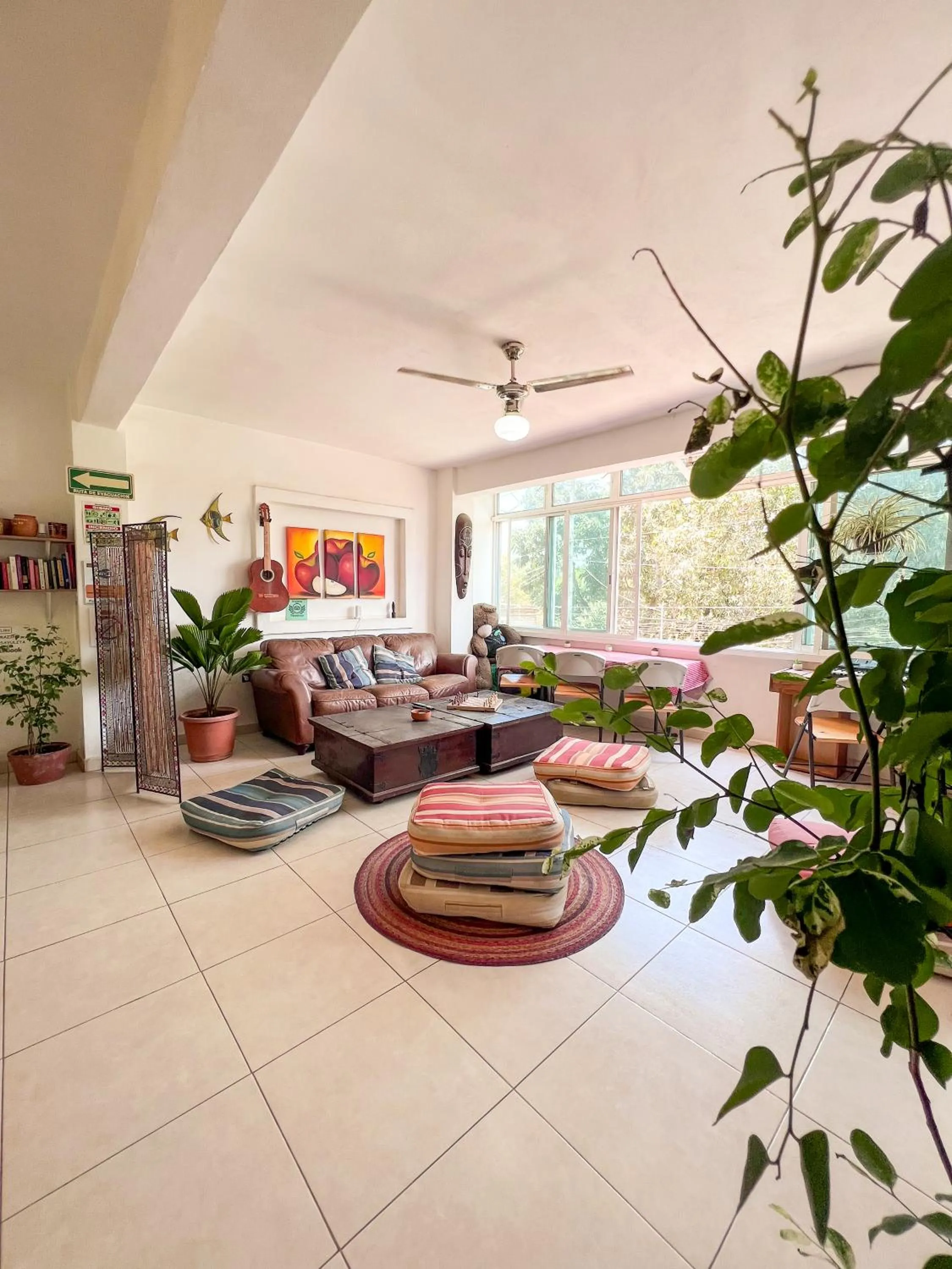 Communal lounge/ TV room in ITH Sayulita Amazing Surf Hostel