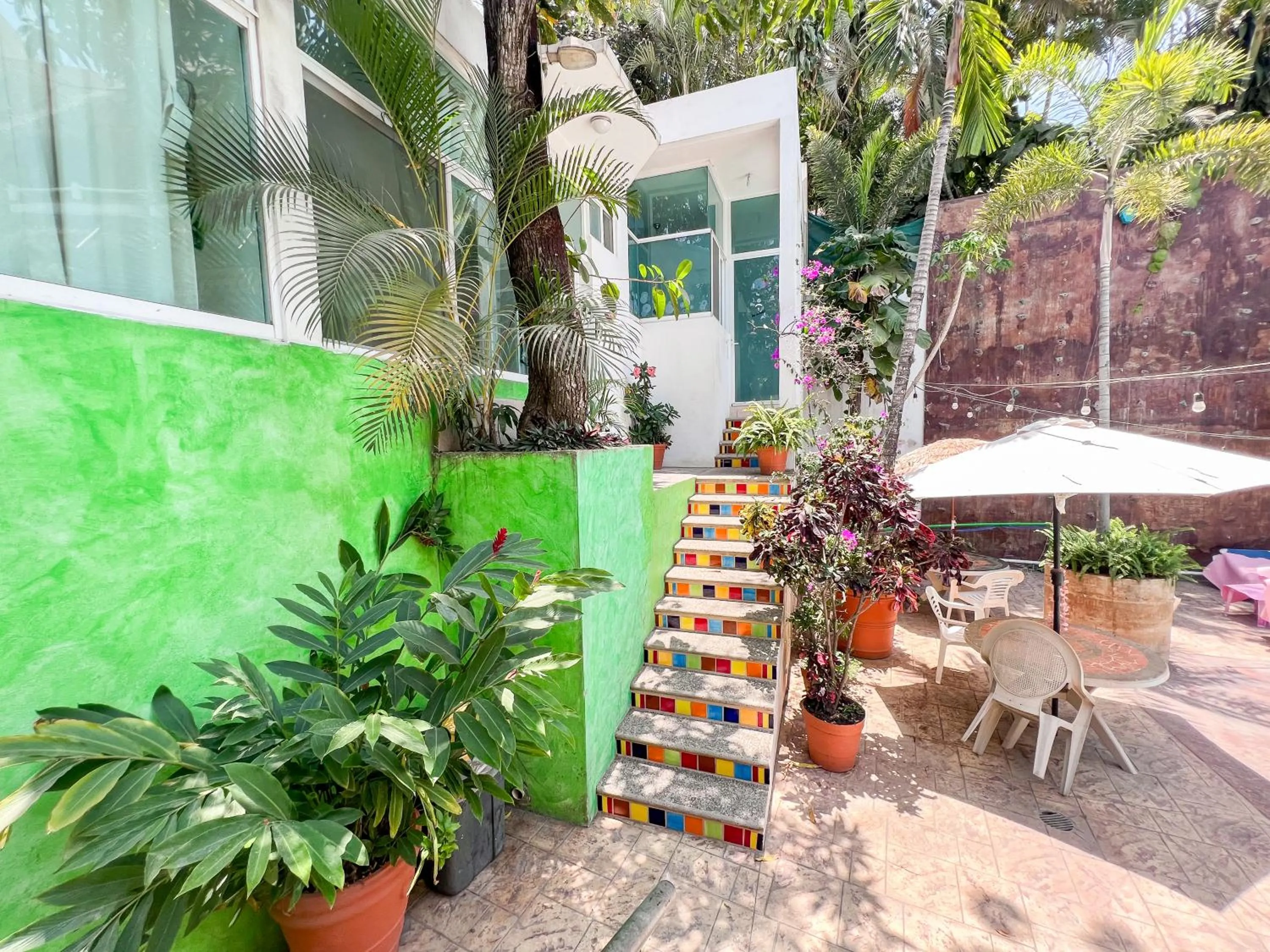 Garden view in ITH Sayulita Amazing Surf Hostel