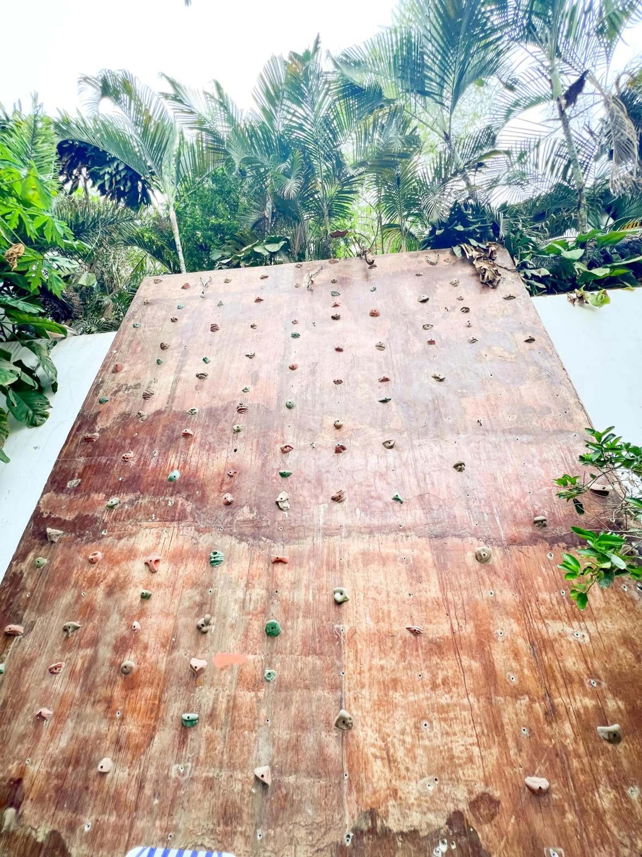 Day in ITH Sayulita Amazing Surf Hostel