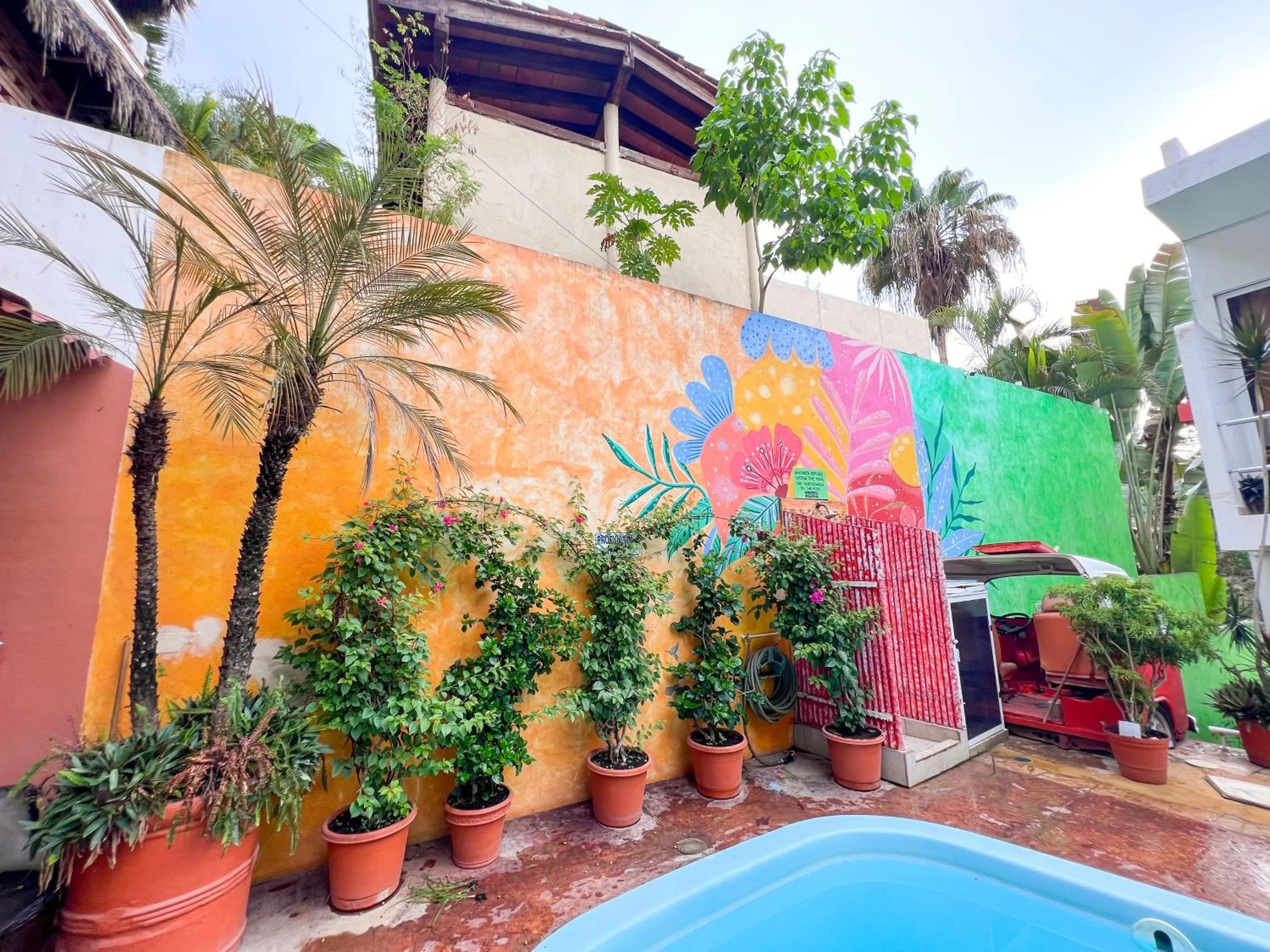 Swimming pool in ITH Sayulita Amazing Surf Hostel