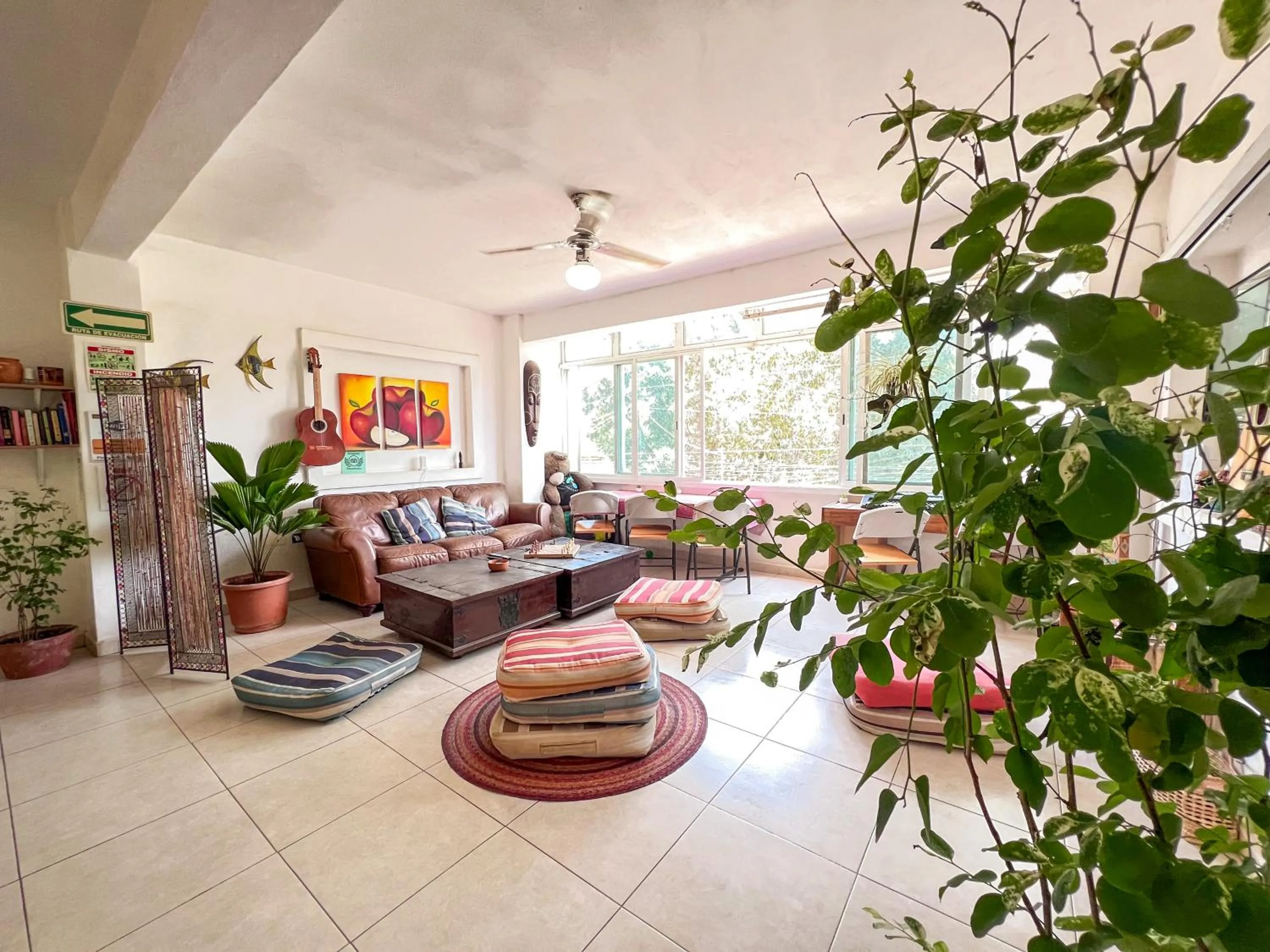 Communal lounge/ TV room in ITH Sayulita Amazing Surf Hostel