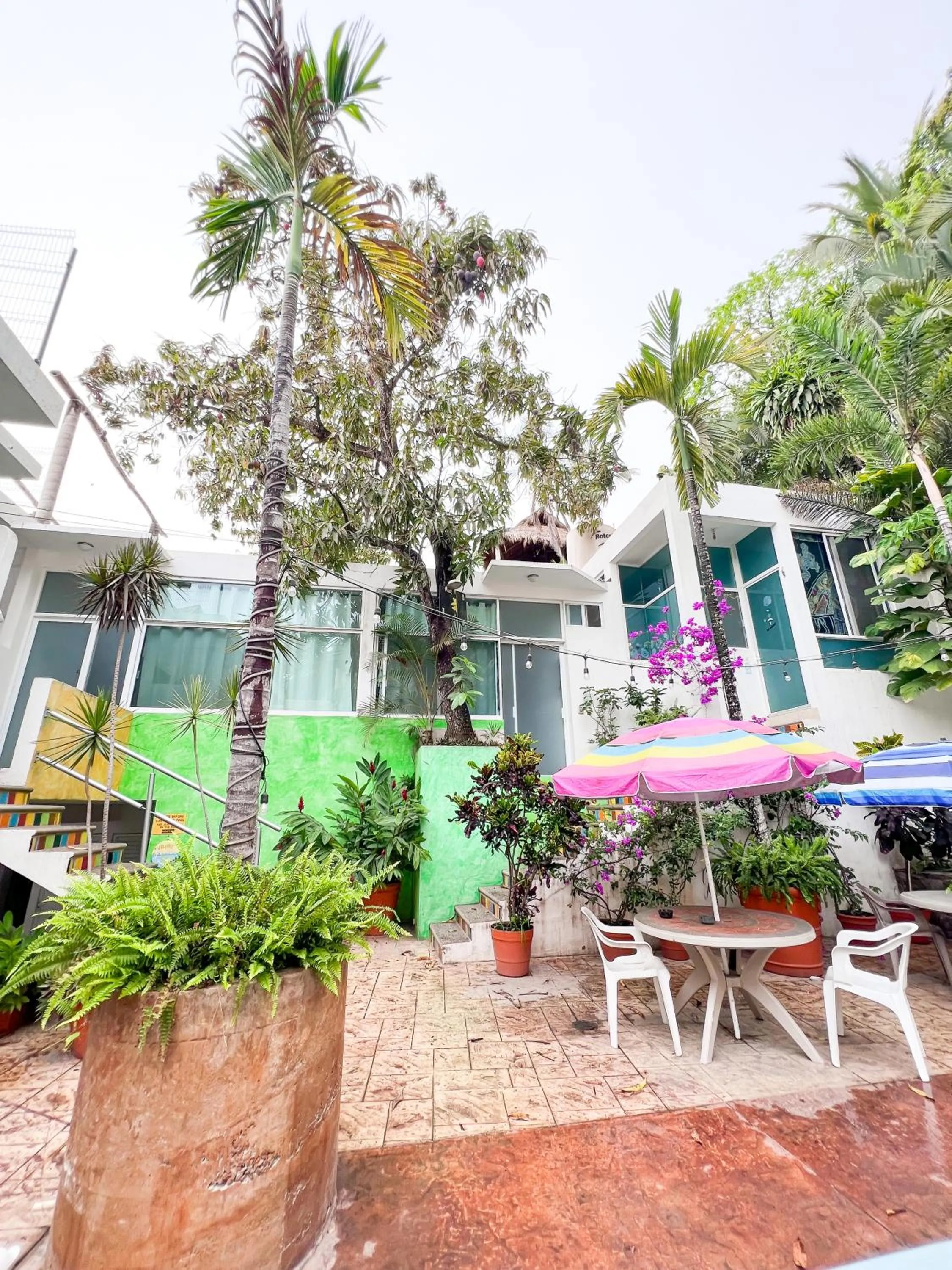 Patio in ITH Sayulita Amazing Surf Hostel