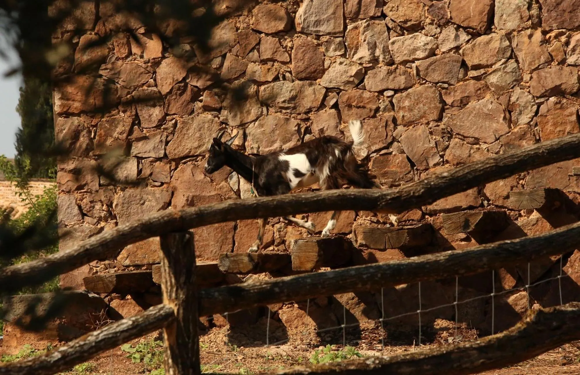 Day in Château Saint Roux Le Luc-Le Cannet des Maures