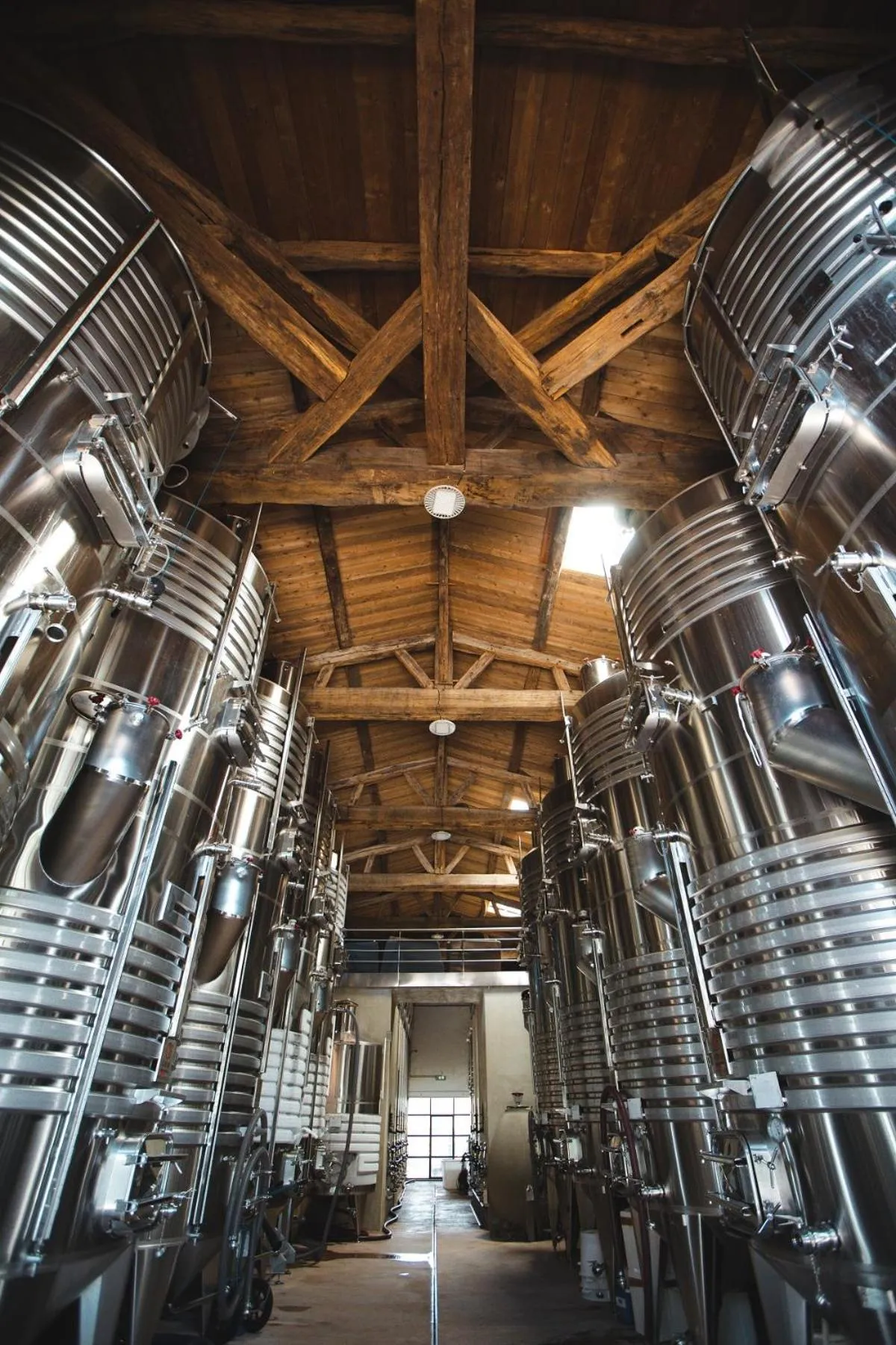 Activities in Château Saint Roux Le Luc-Le Cannet des Maures