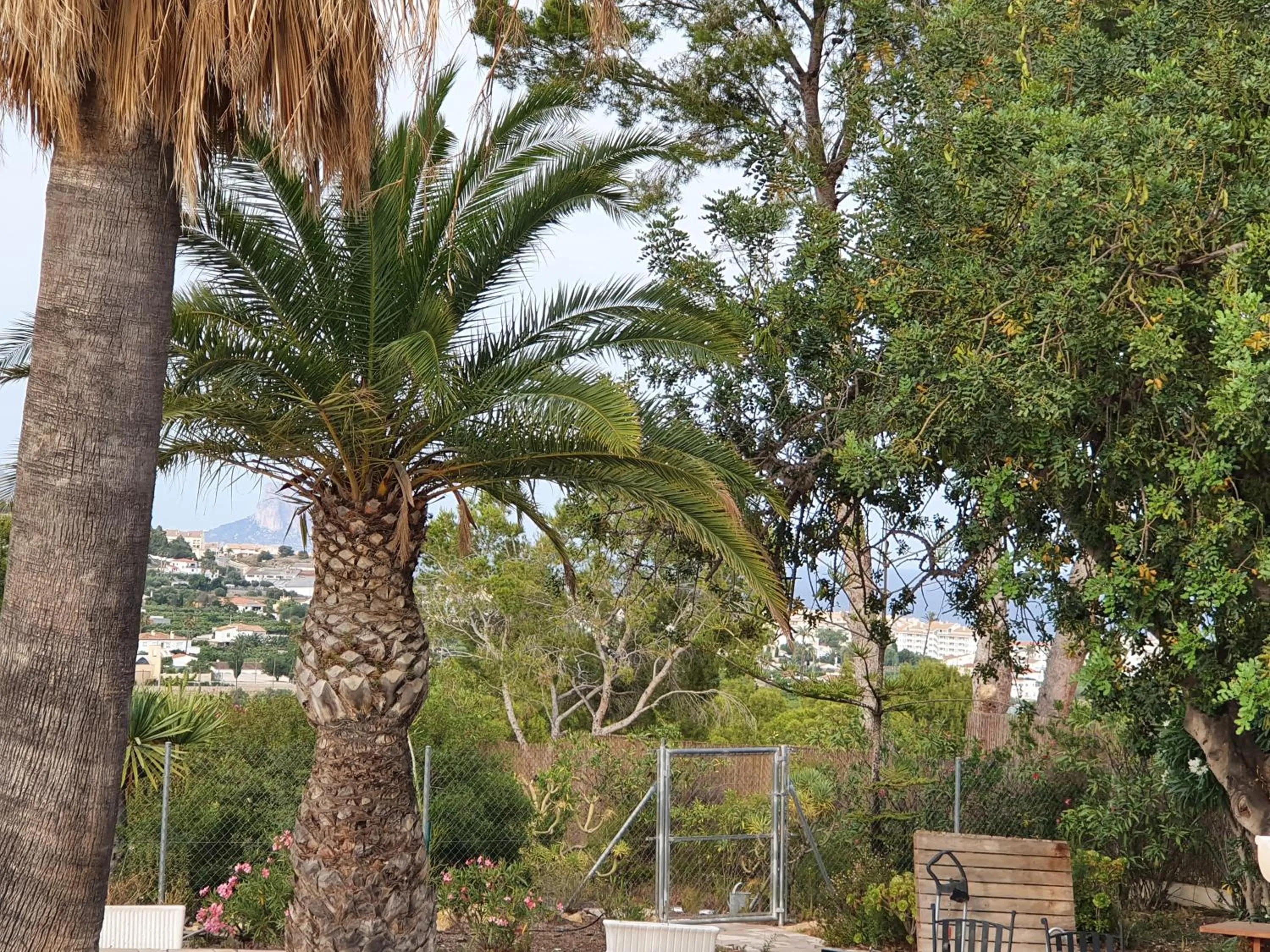 Natural landscape in elparaiso-altea Apartment "Sylvia" ADULTS ONLY Bed & Borrel