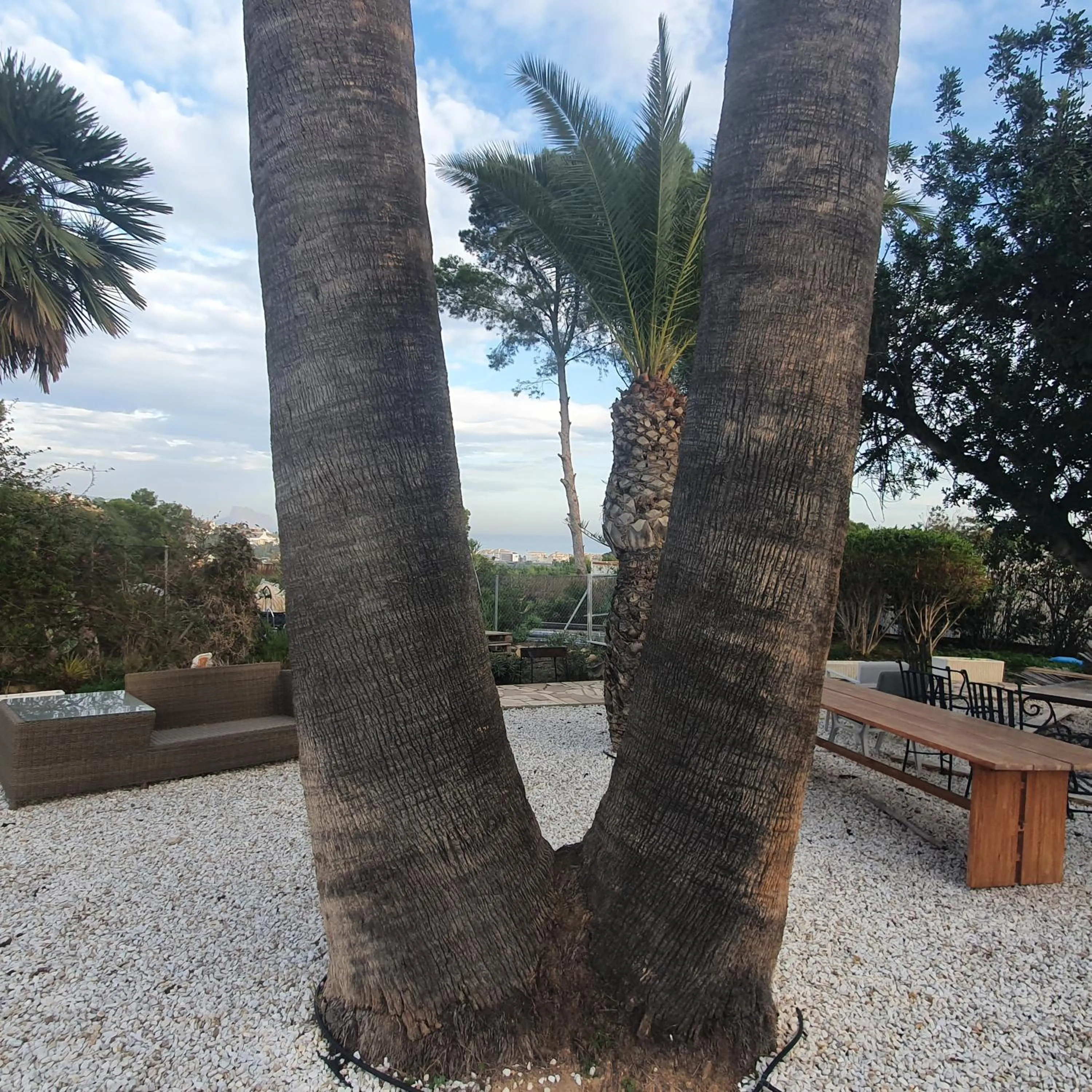 Natural landscape in elparaiso-altea Apartment "Sylvia" ADULTS ONLY Bed & Borrel