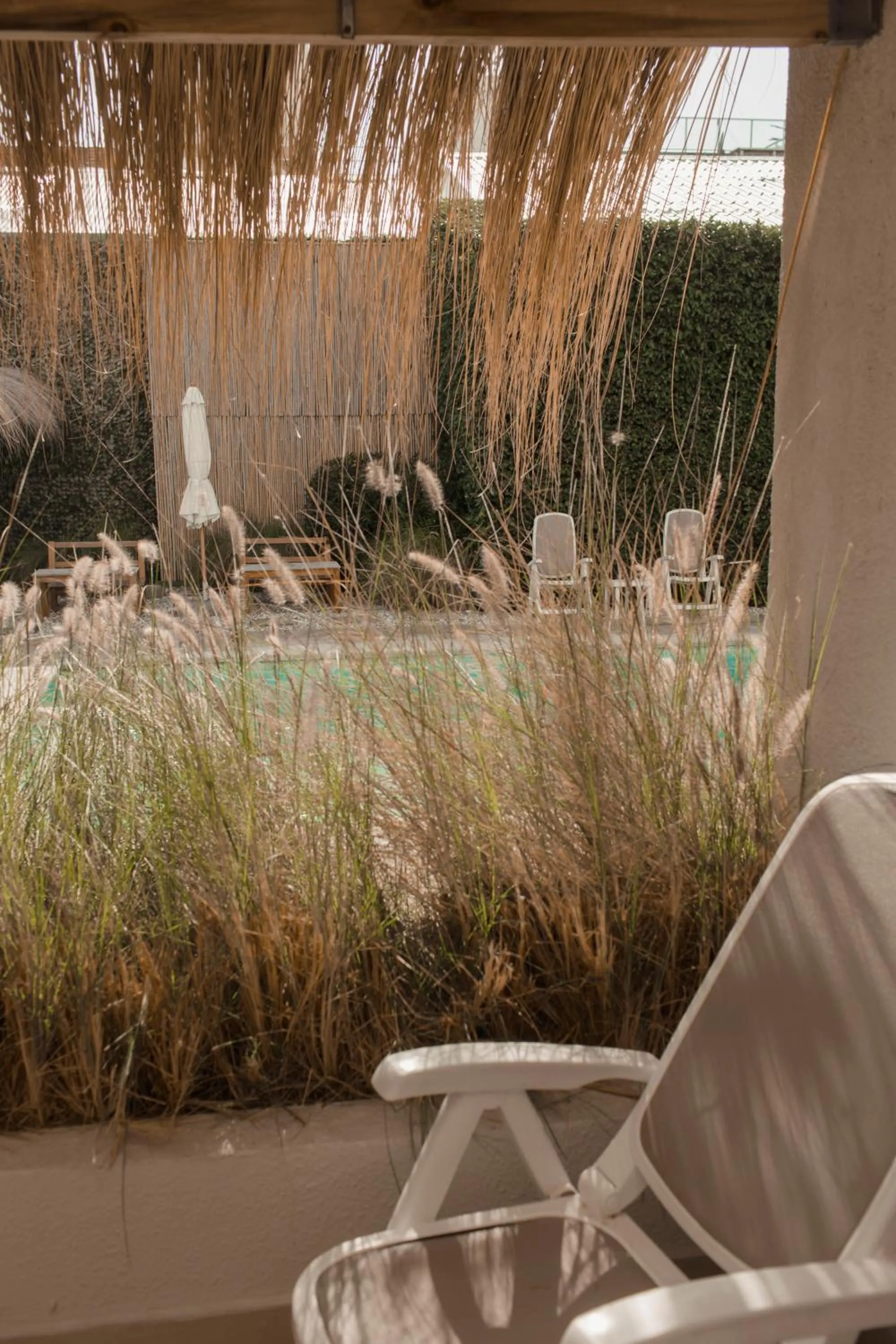 Garden view in Atlántico Boutique Hotel