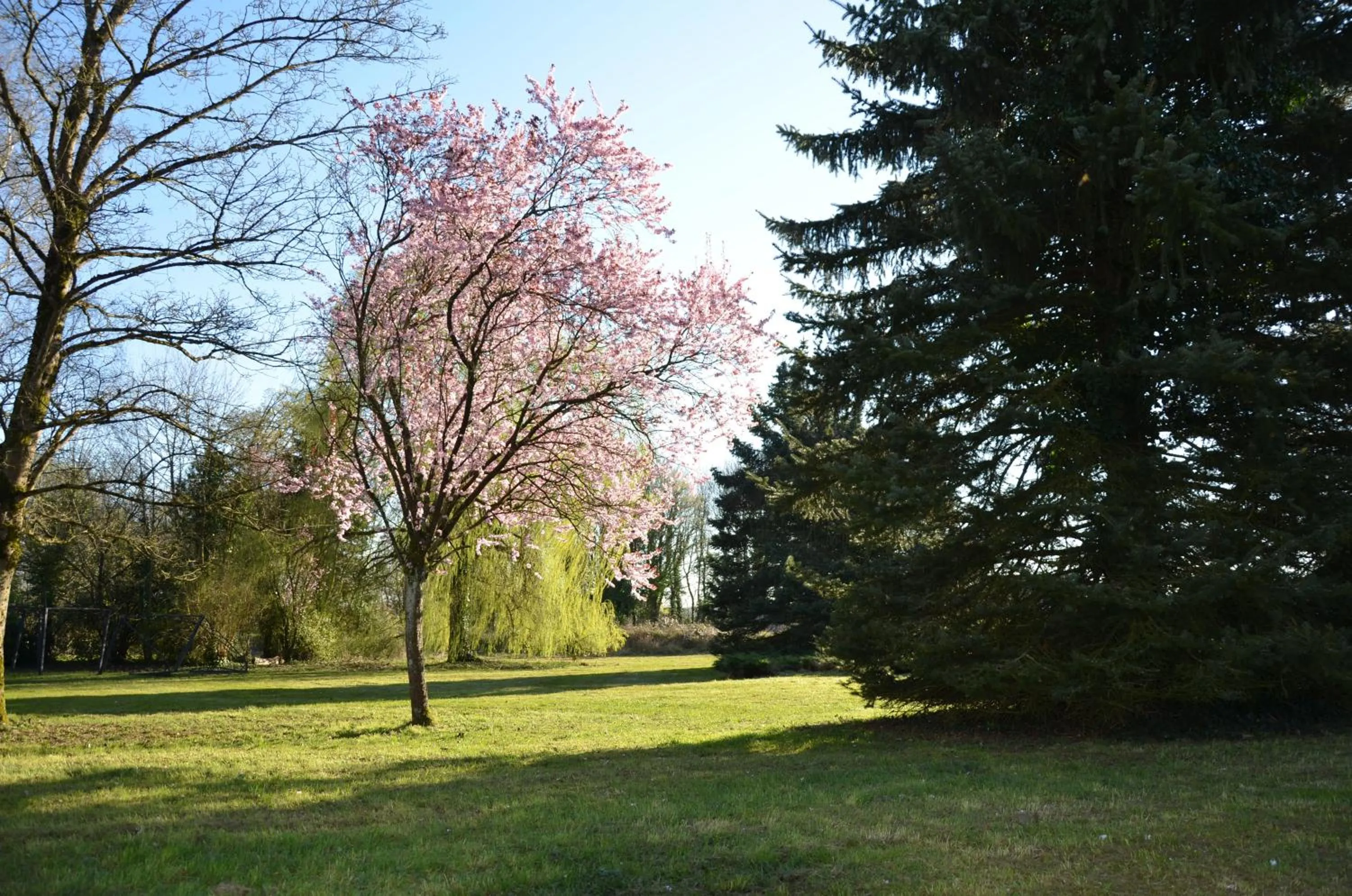 Garden in Hôtel la Régie