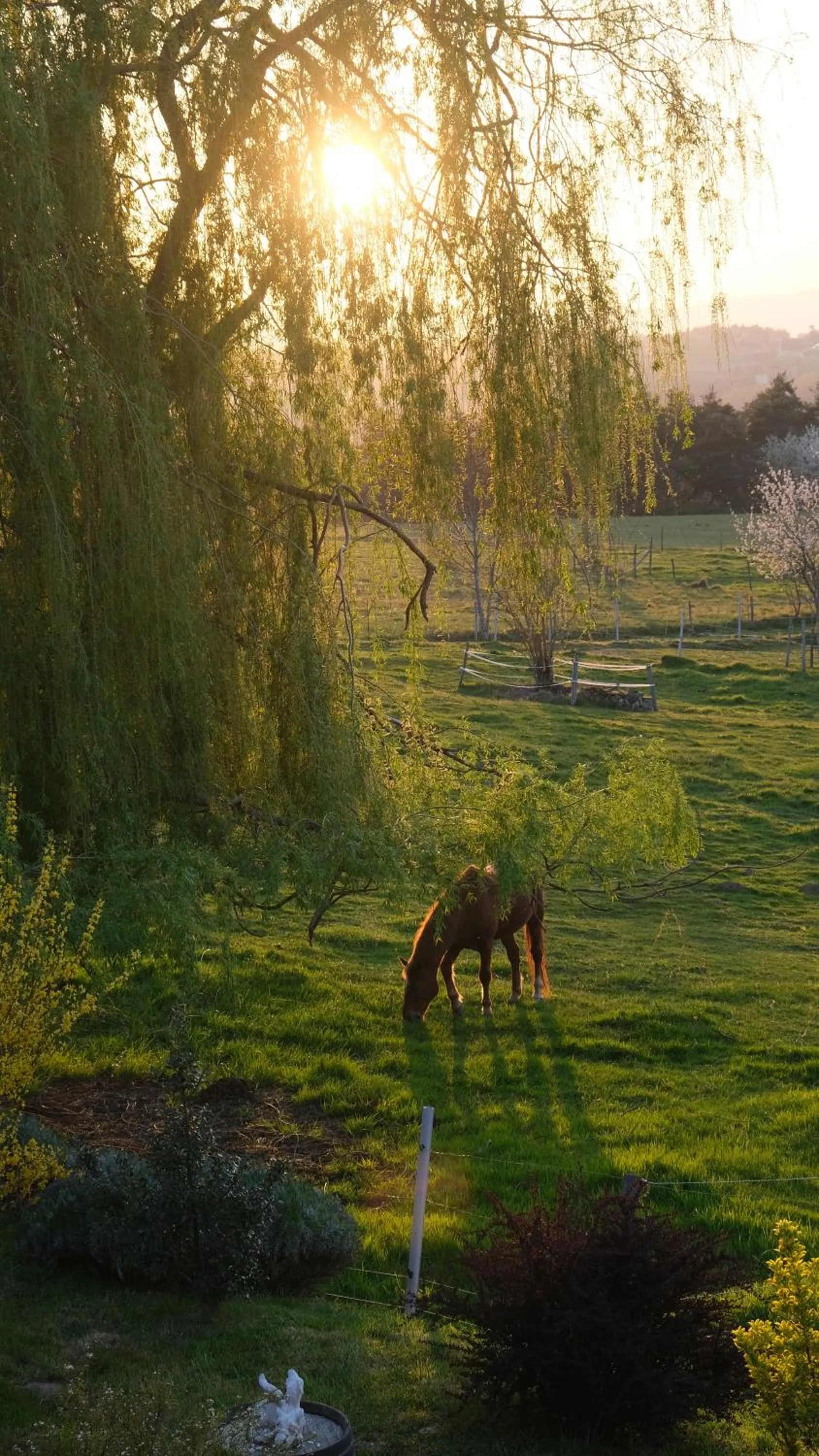 Spring in le Corral chambre d'hôte