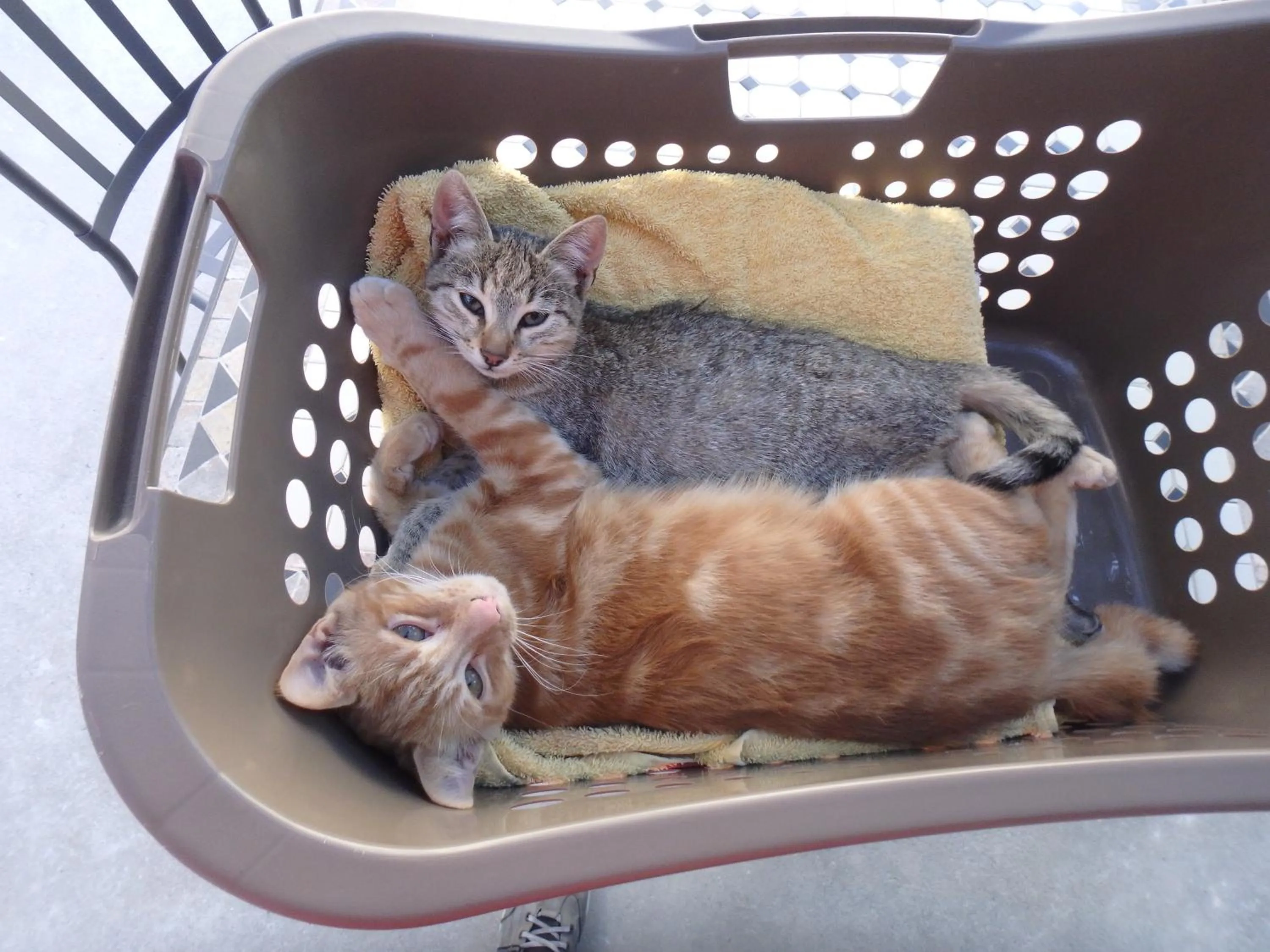 Other in le Corral chambre d'hôte