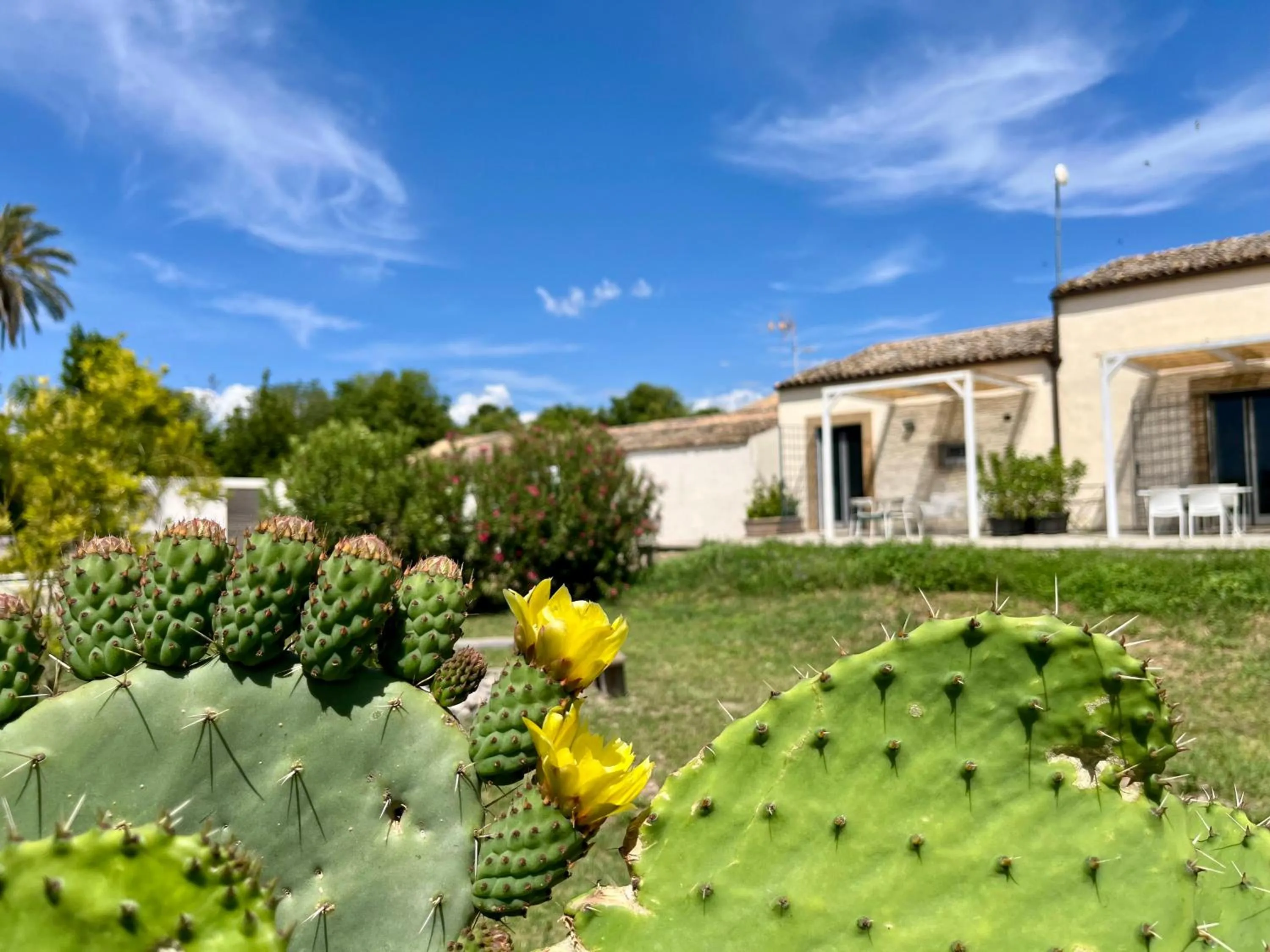 Garden view in Dimora di Dante
