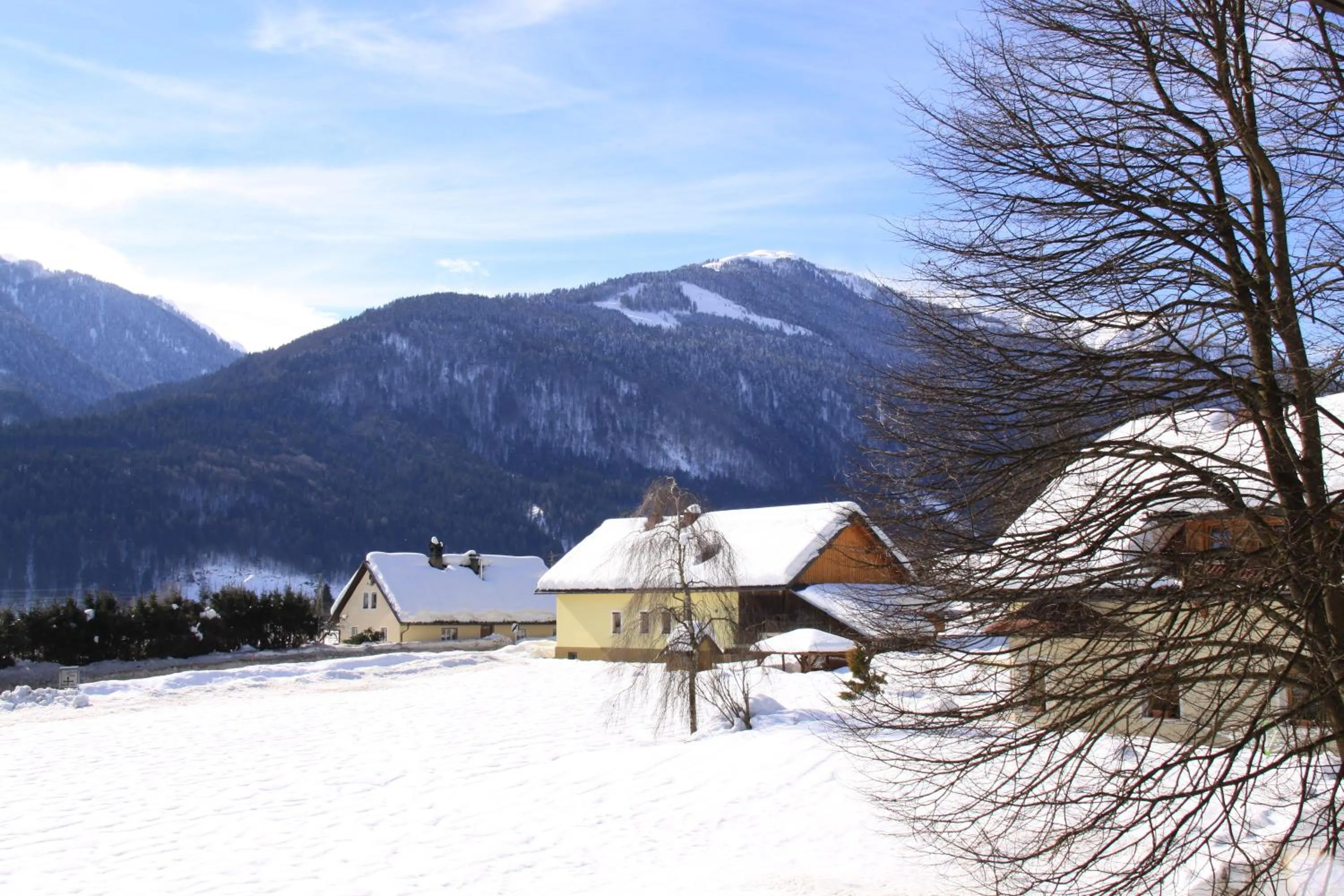 Winter in Hotel Sonnleitn
