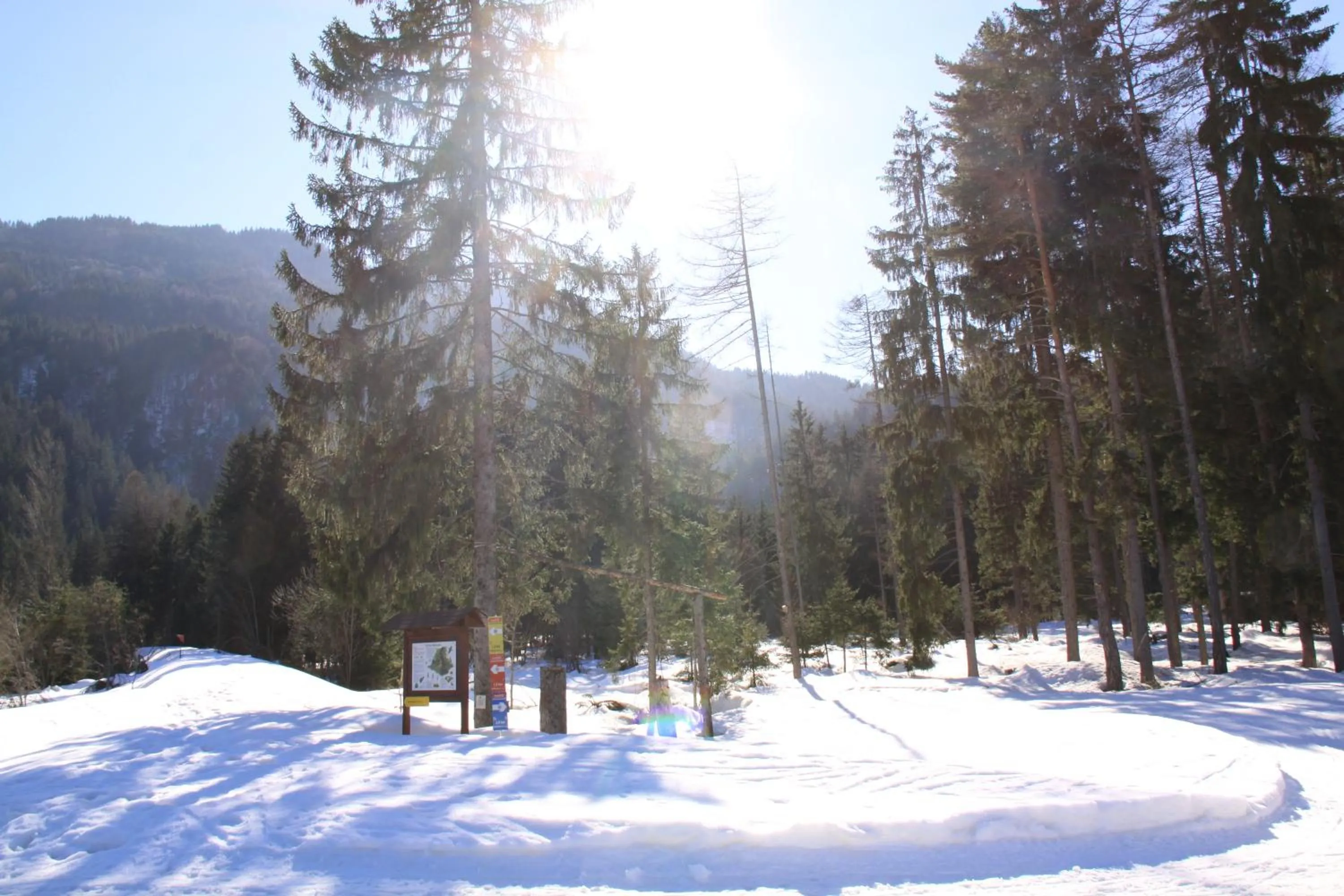 Winter in Hotel Sonnleitn