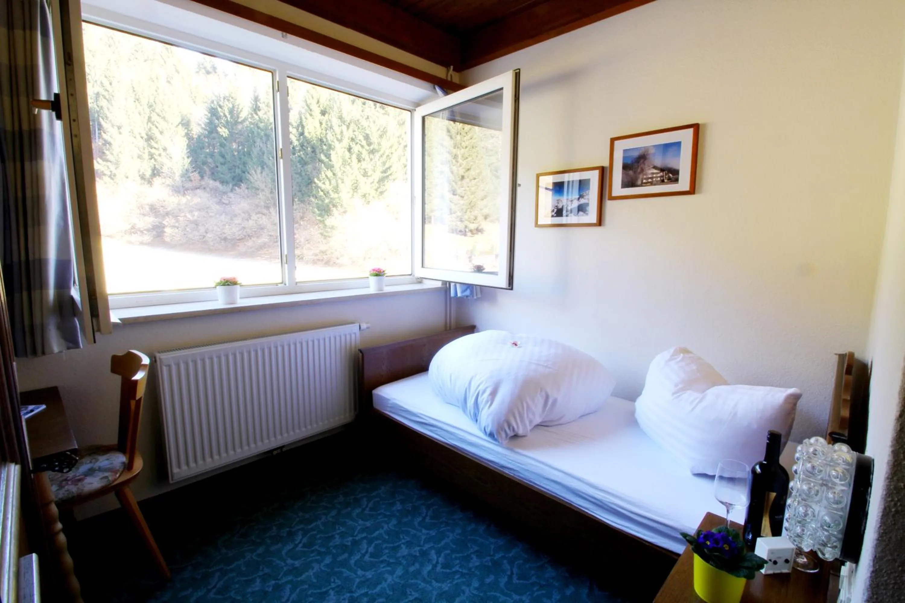 Photo of the whole room, Bed in Hotel Sonnleitn