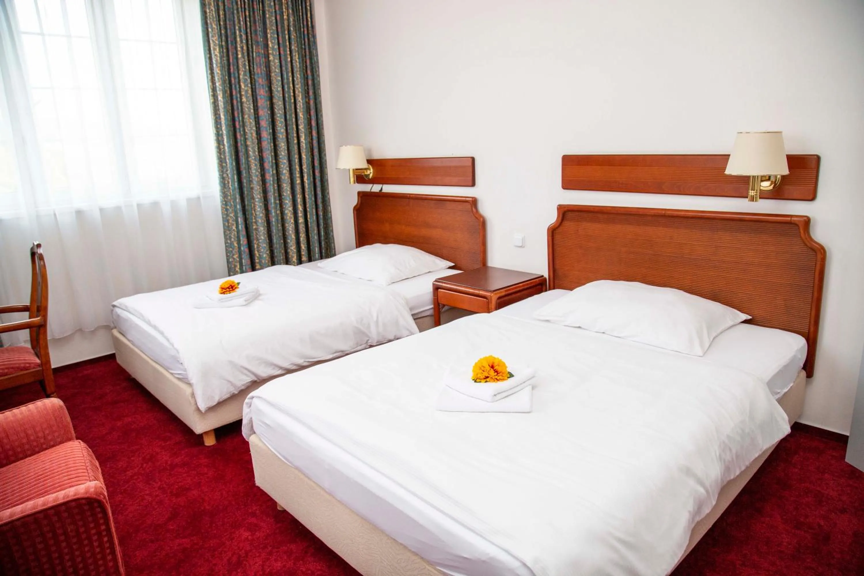 Standard Double or Twin Room in Hotel S-centrum Děčín