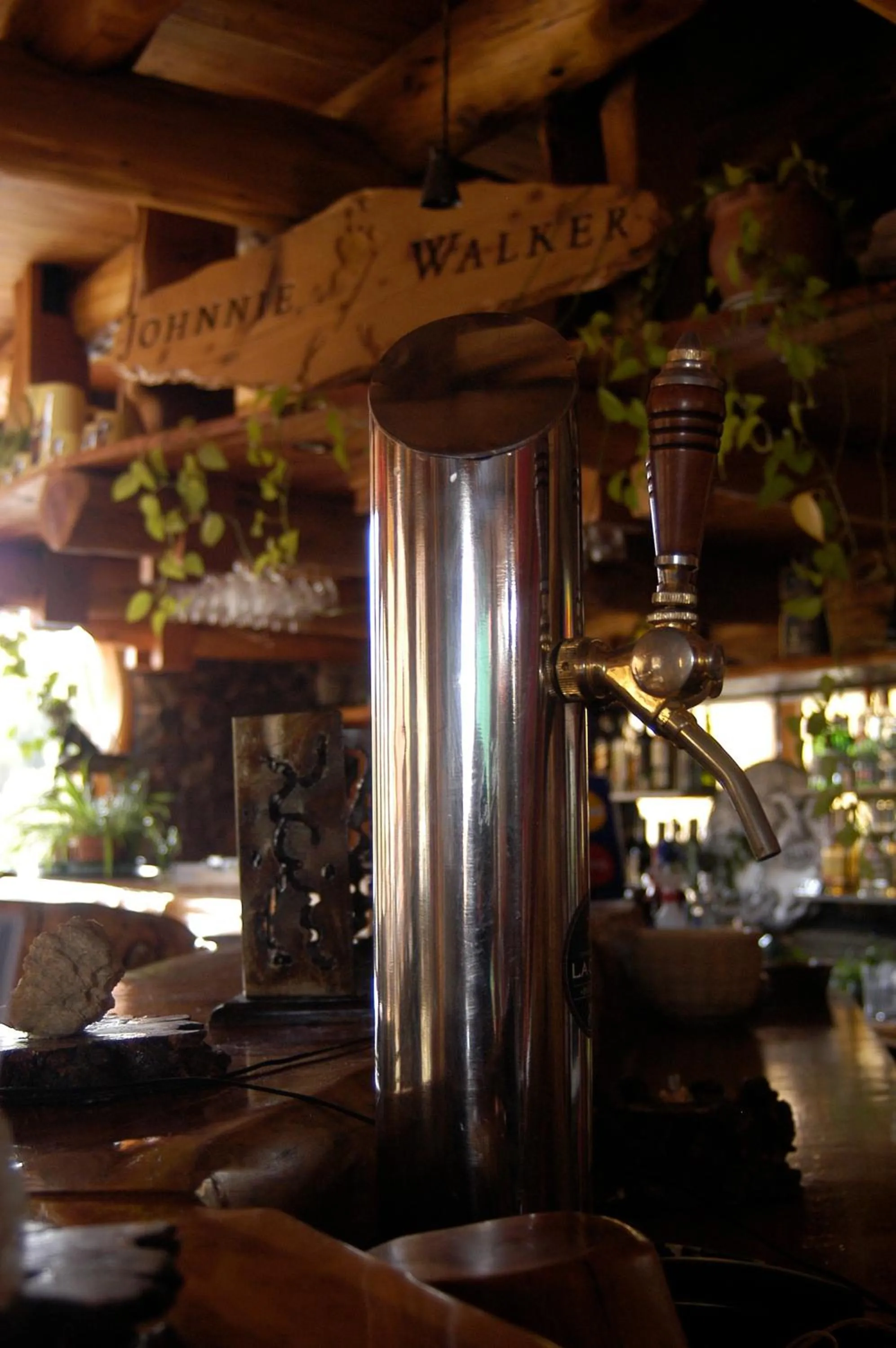 Lounge or bar in Hosteria Sudbruck