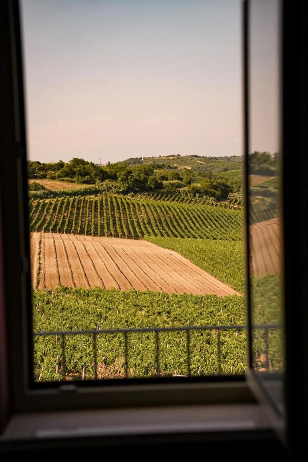 Property building in Wine Residence Cattunar