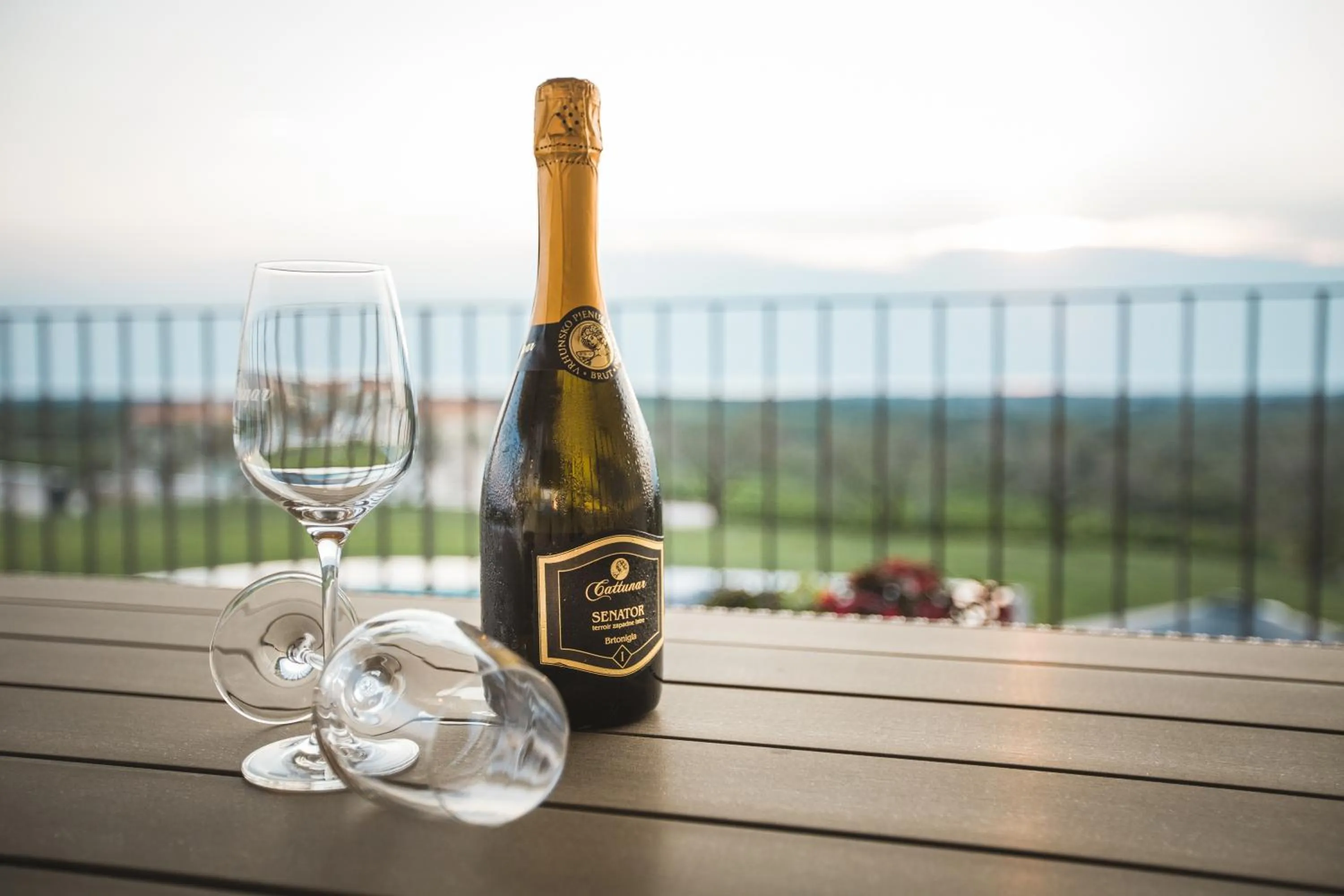 Day in Wine Residence Cattunar