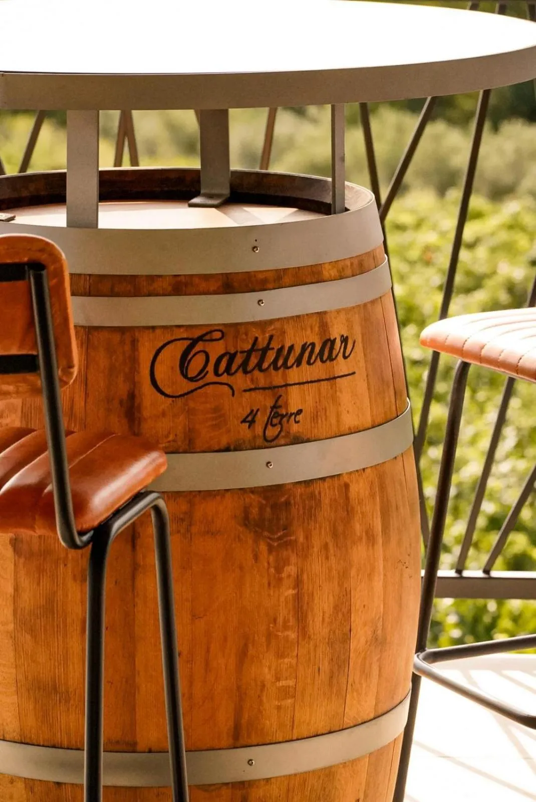 Garden in Wine Residence Cattunar