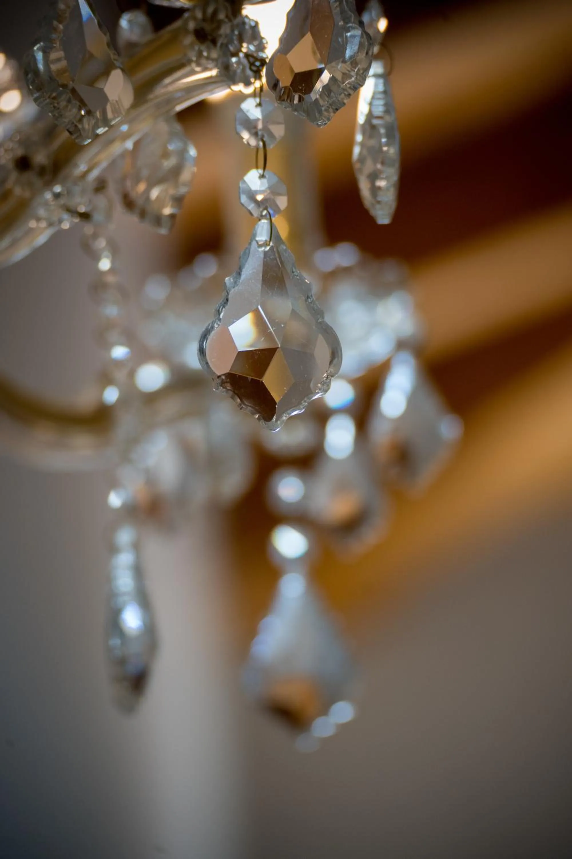 Decorative detail in Wine Residence Cattunar