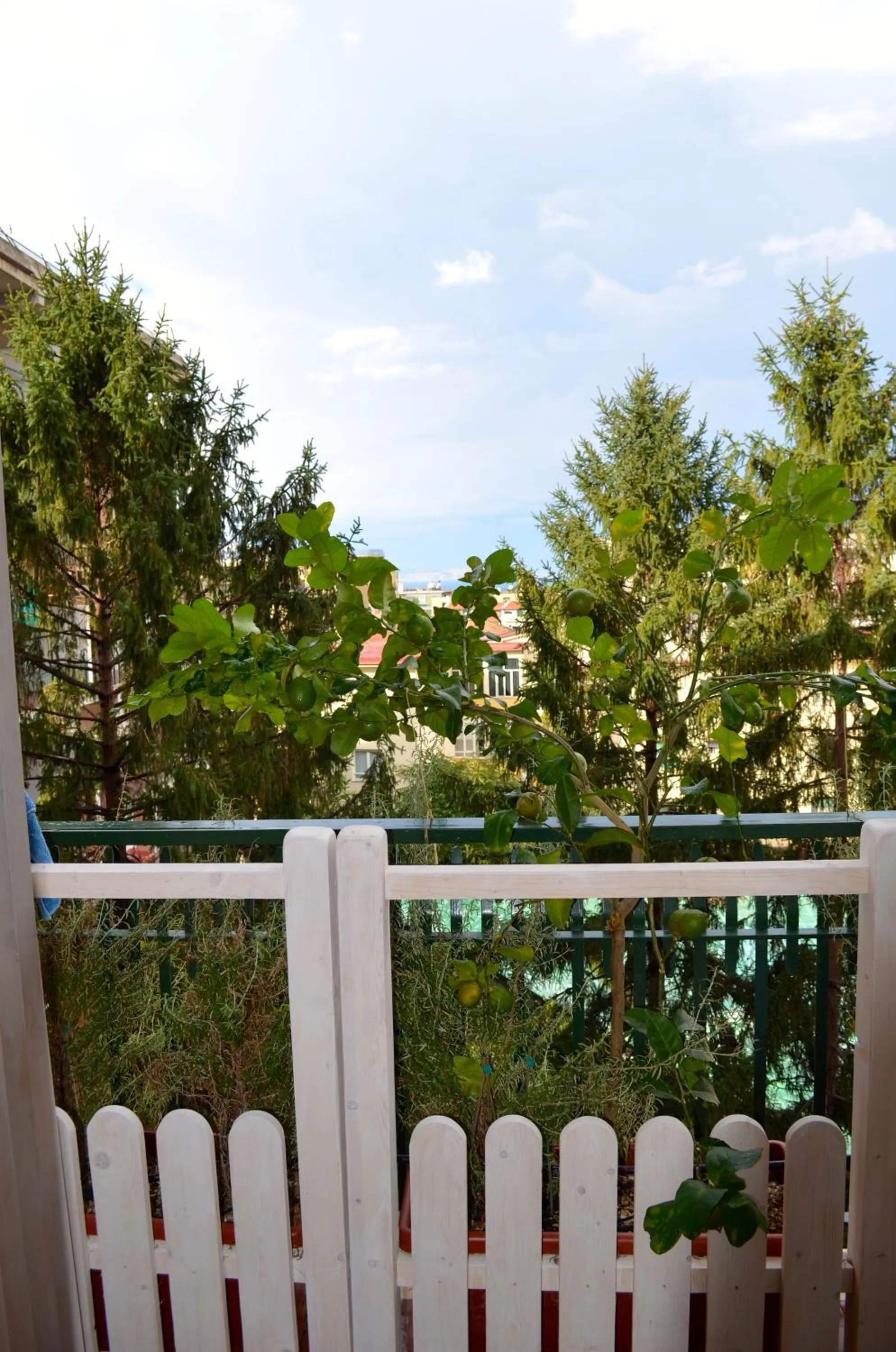 Patio in Luiselle Charming Accommodation Sorrento City Center