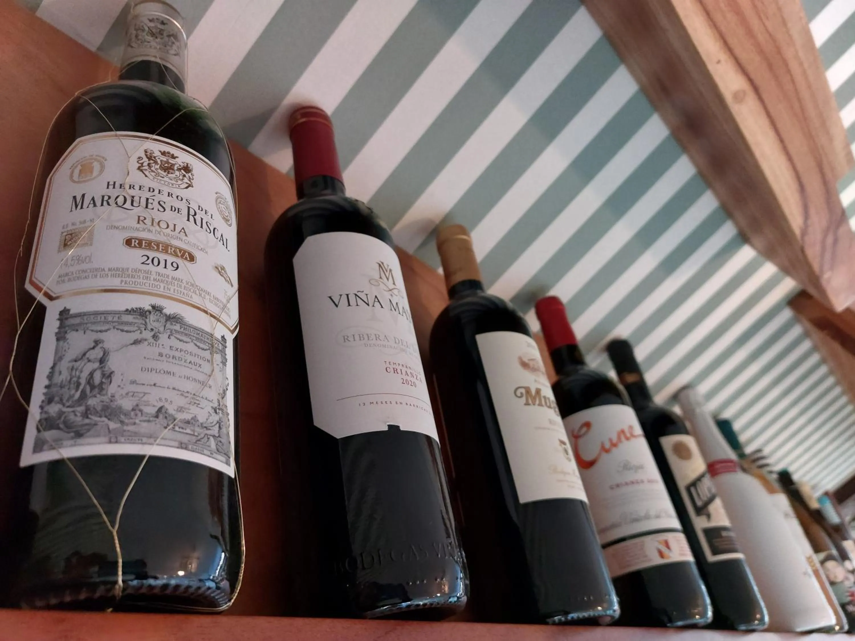 Lounge or bar in Hotel Pedasí Nature Paradise