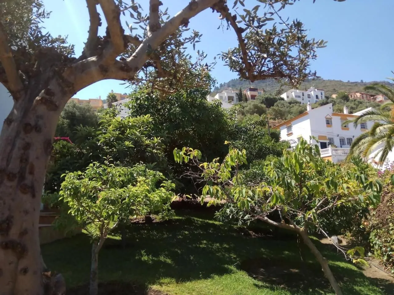 Garden in Villa Peralta, heated and private pool ,near beach and golf !
